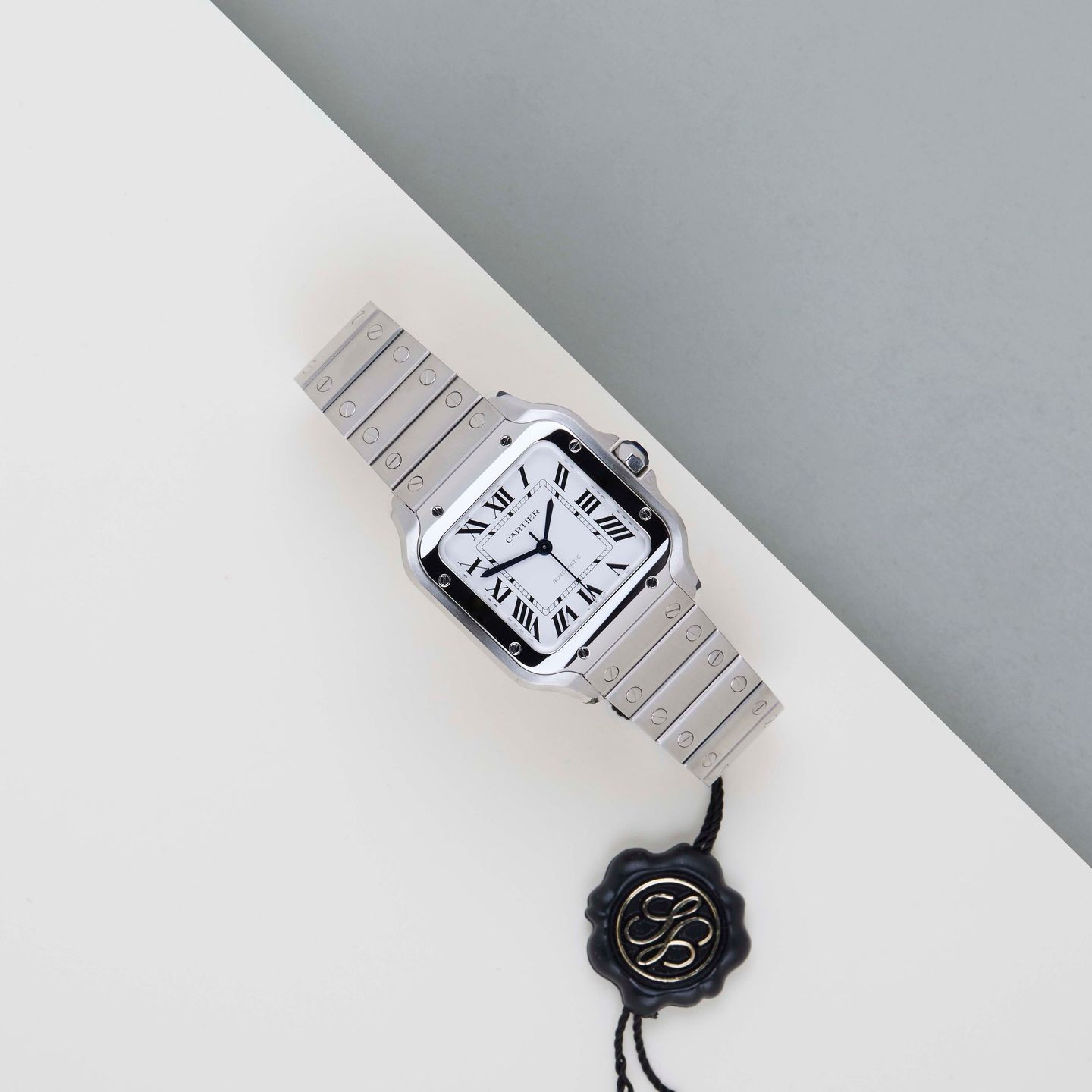 Cartier Santos WSSA0029 - (2/8)