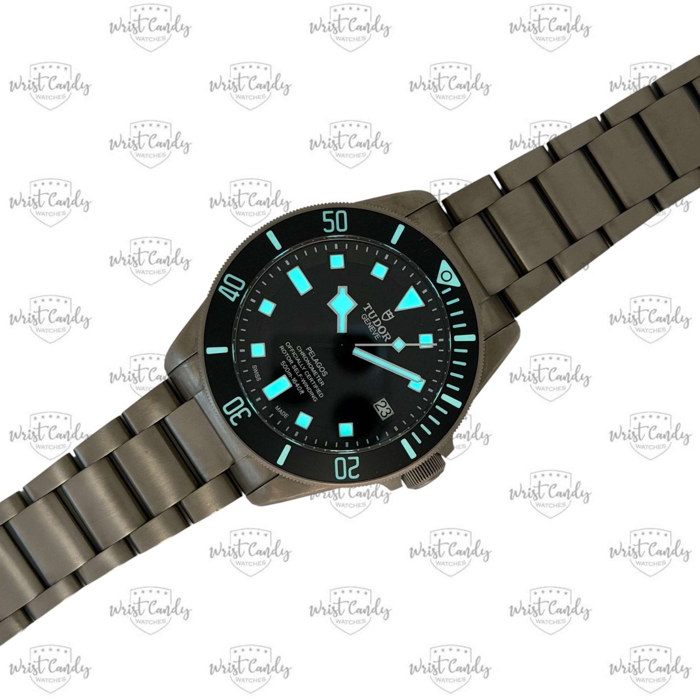 Tudor Pelagos 25600TN - (5/8)
