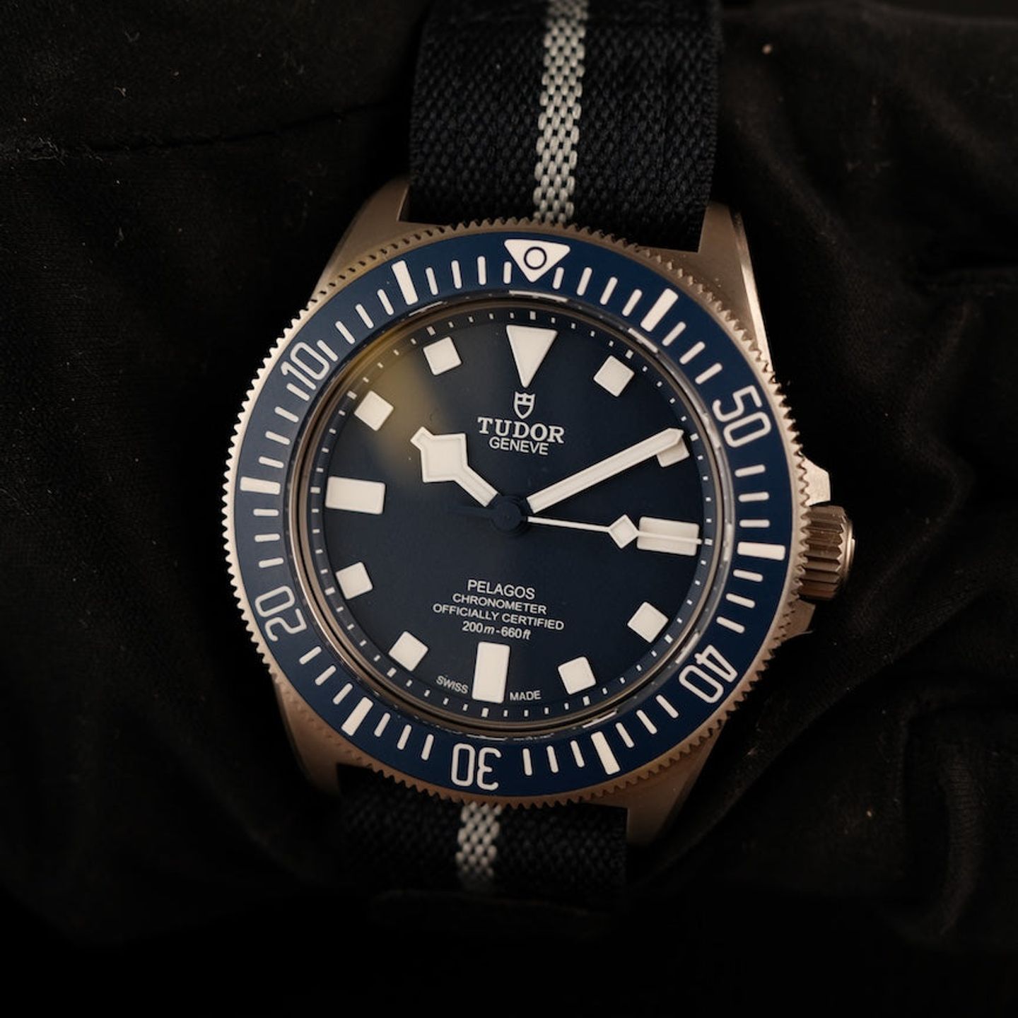 Tudor Pelagos 25707B/22 - (3/8)