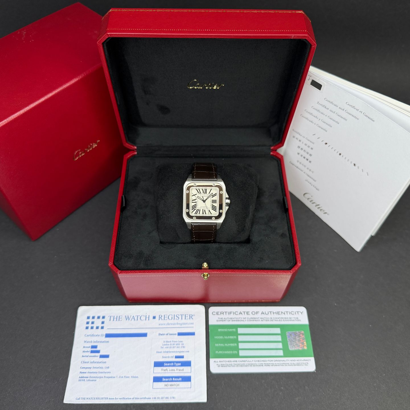 Cartier Santos 100 W20107X7 - (3/8)