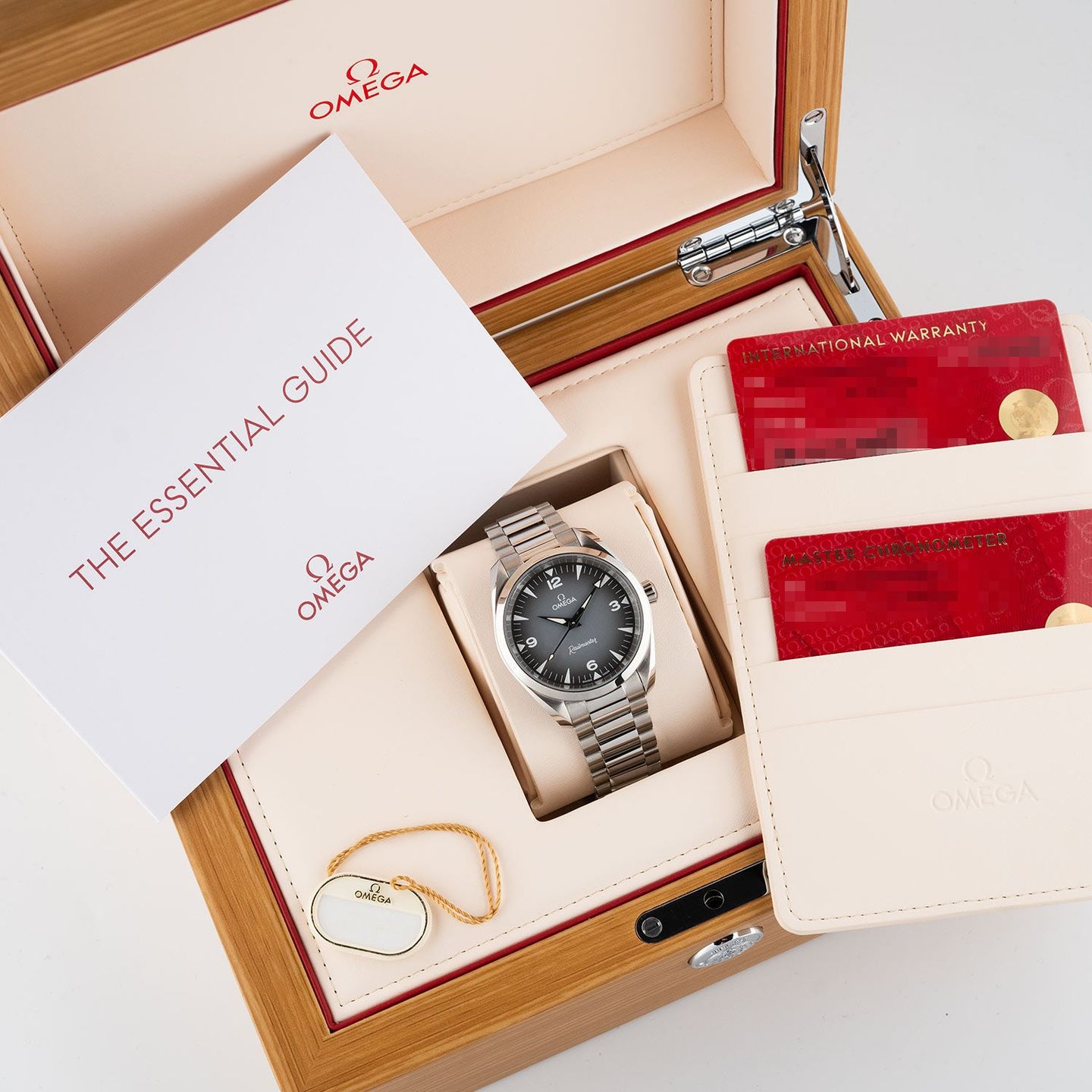 Omega Seamaster Railmaster 235.10.38.20.06.001 - (7/7)