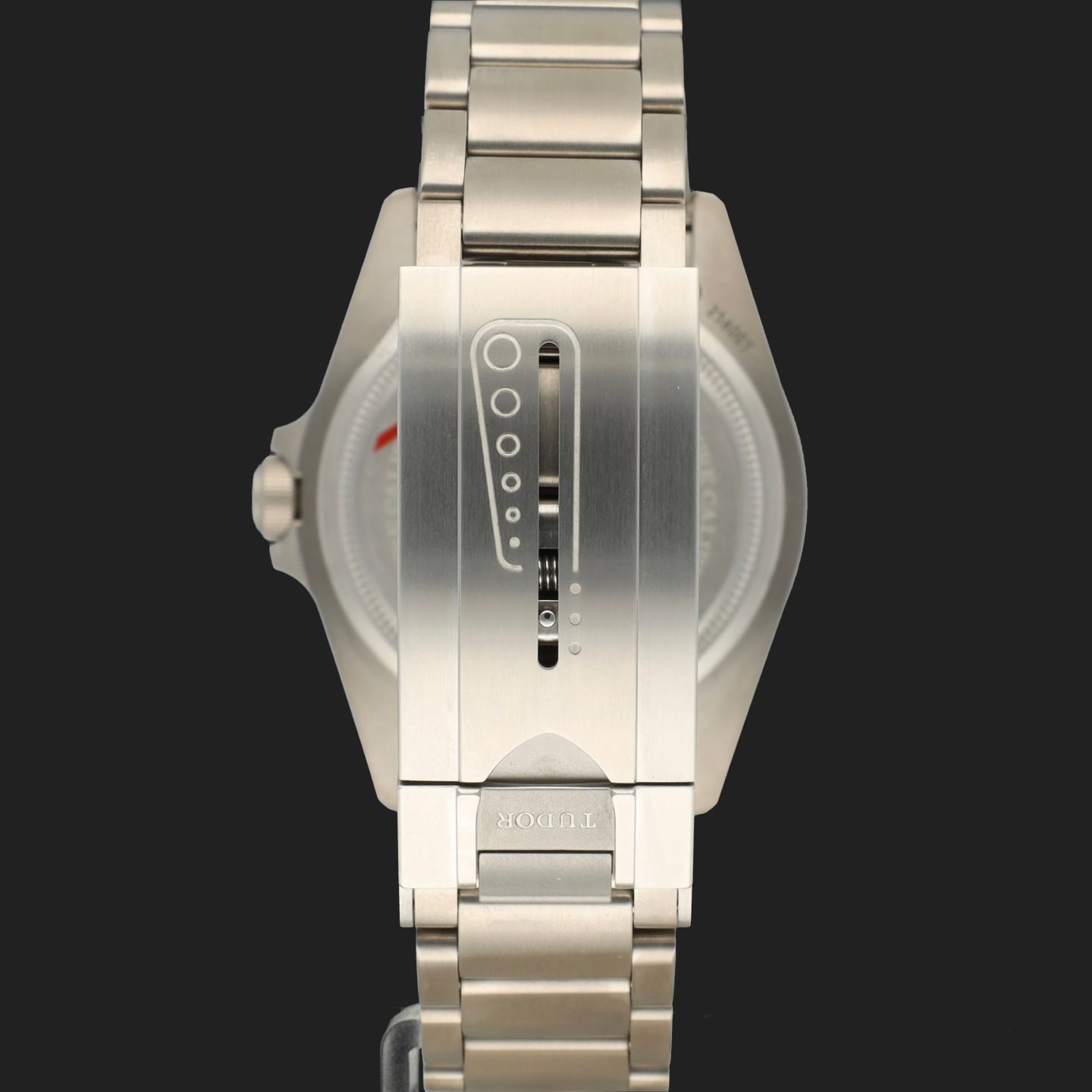 Tudor Pelagos 25600TB - (6/8)