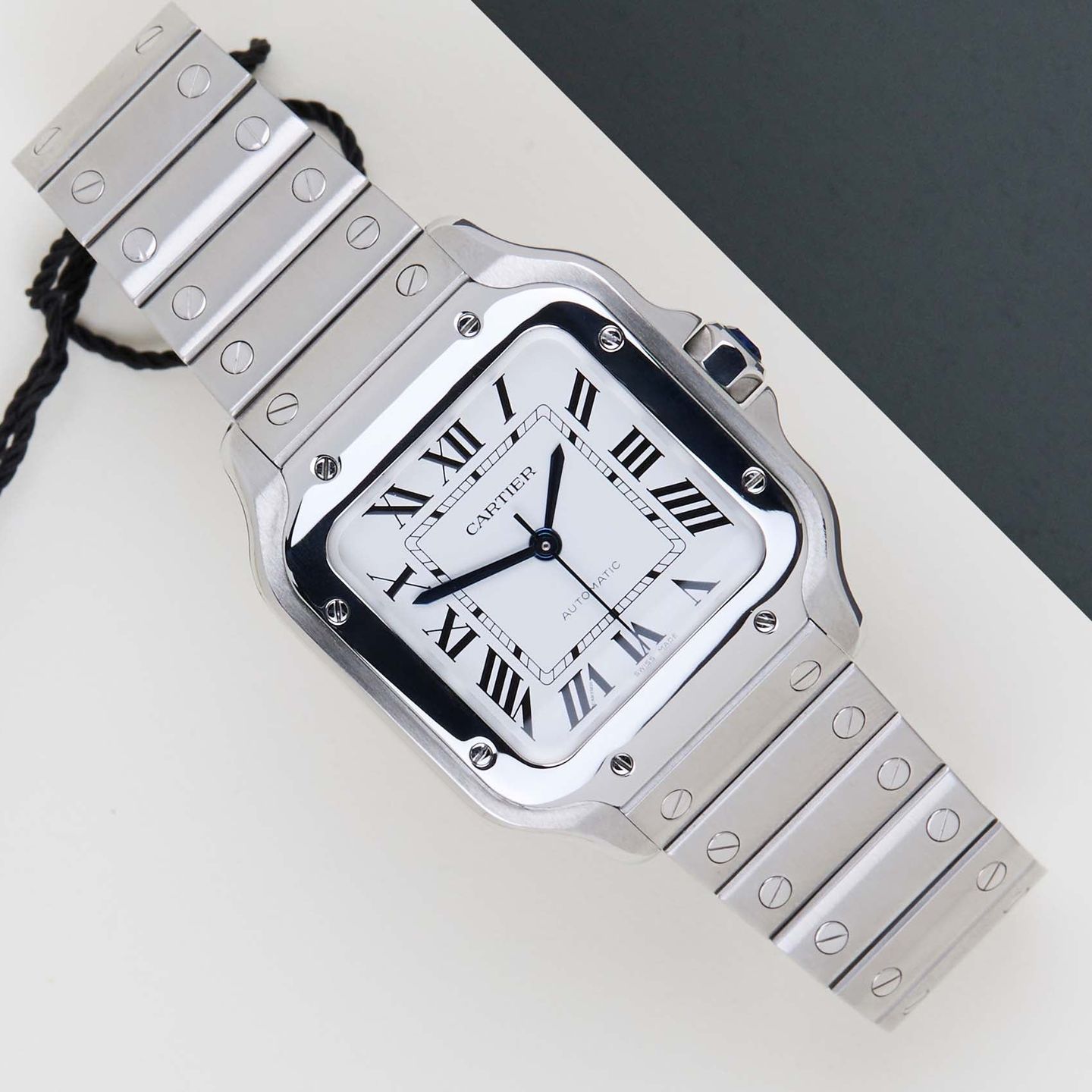 Cartier Santos WSSA0029 - (1/8)