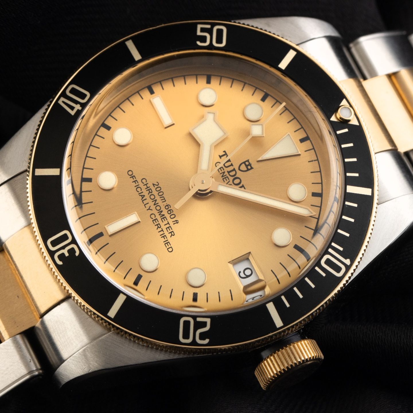 Tudor Black Bay S&G 79733N - (3/8)