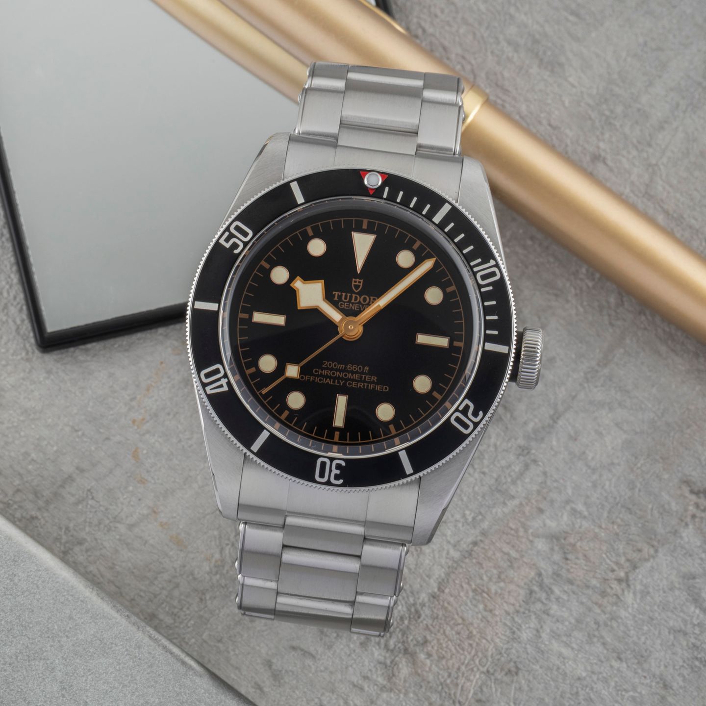 Tudor Black Bay 79230N - (1/8)