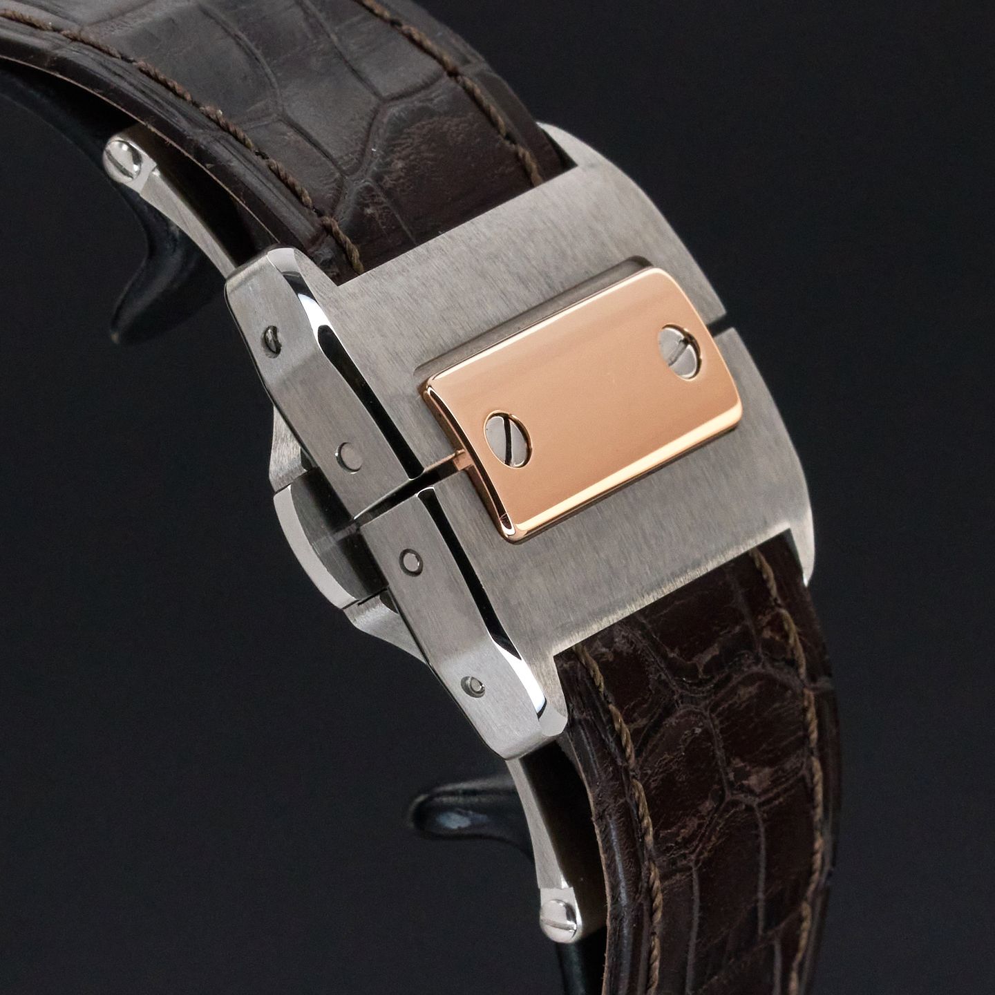 Cartier Santos 100 W20107X7 - (8/8)