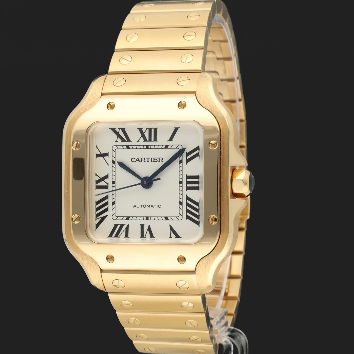 Cartier Santos WGSA0030 - (1/8)