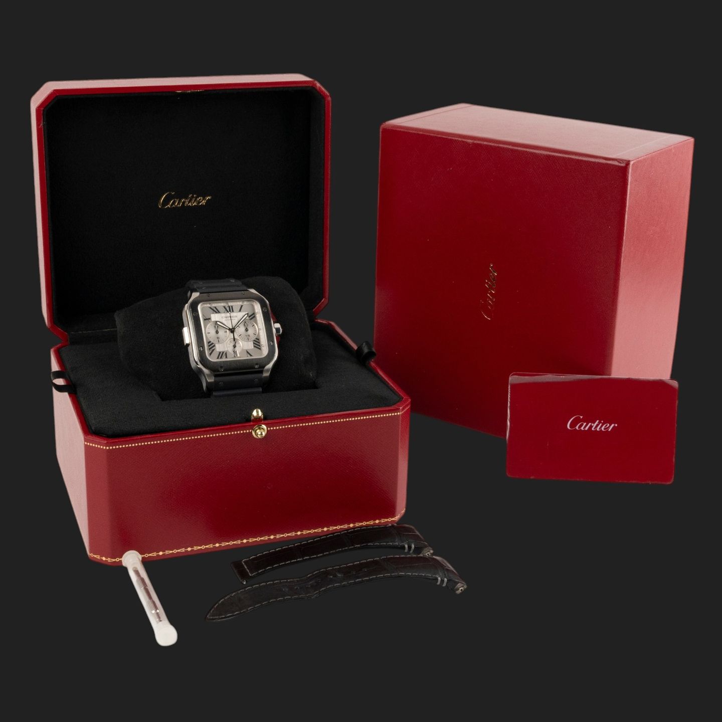 Cartier Santos WSSA0017 - (8/8)