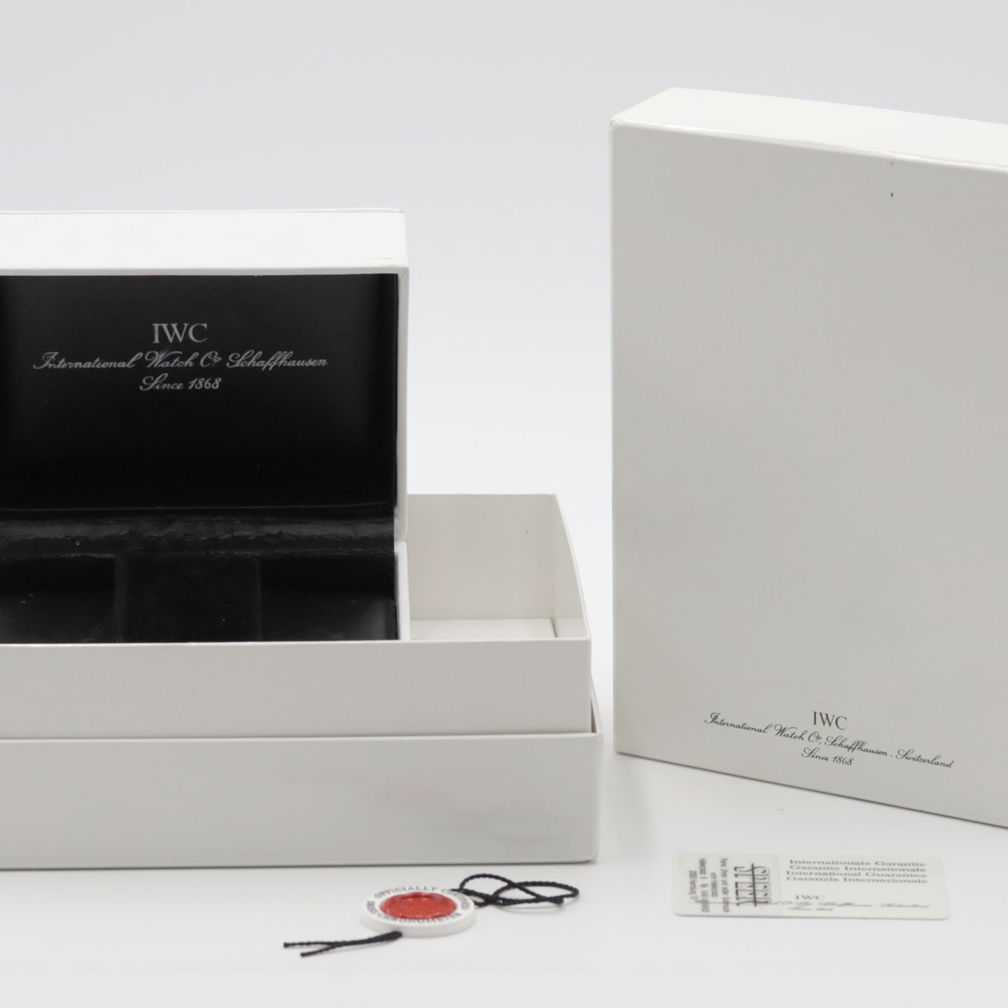 IWC Ingenieur IW352101 - (8/8)