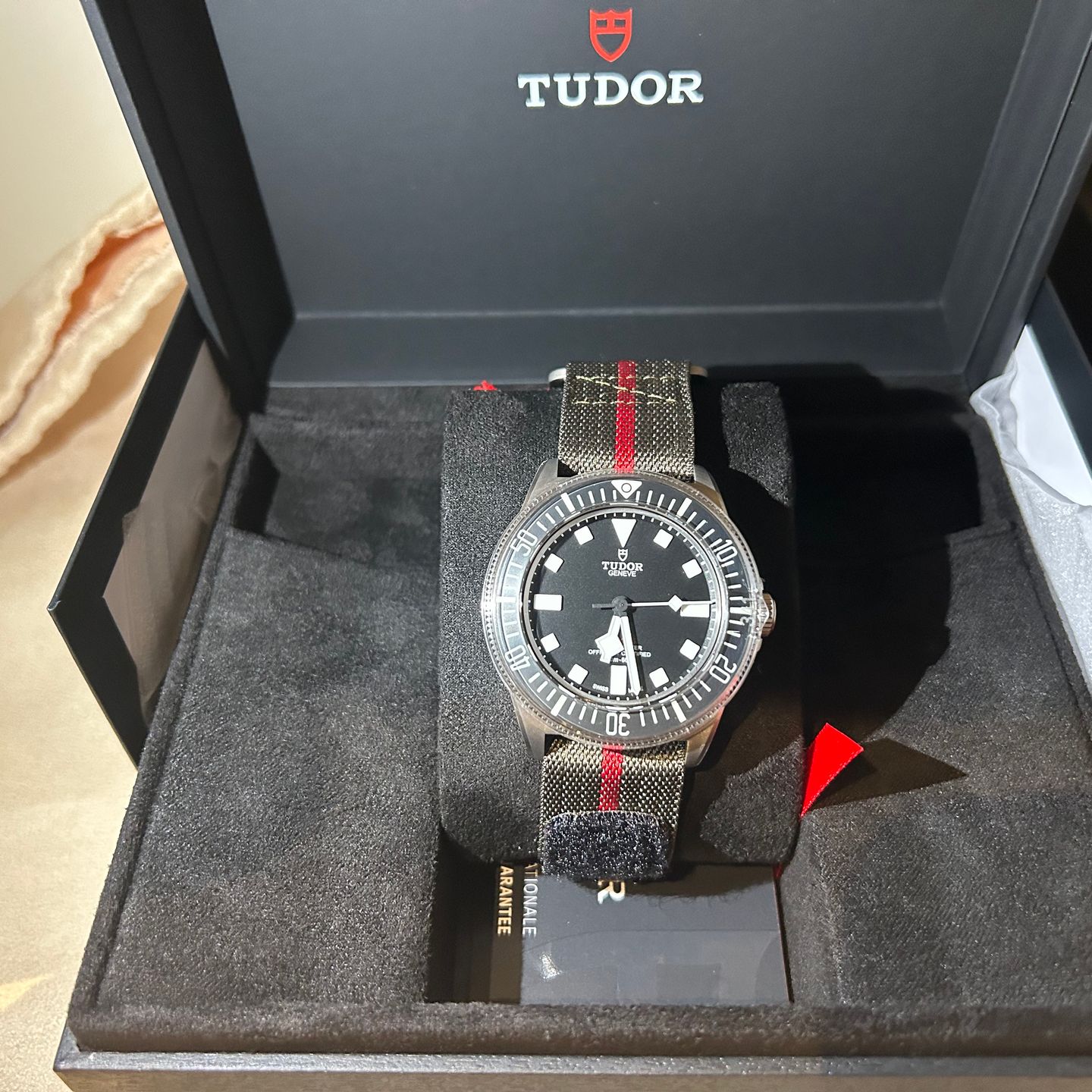 Tudor Pelagos 25717N (2024) - Black dial 42 mm Titanium case (4/8)