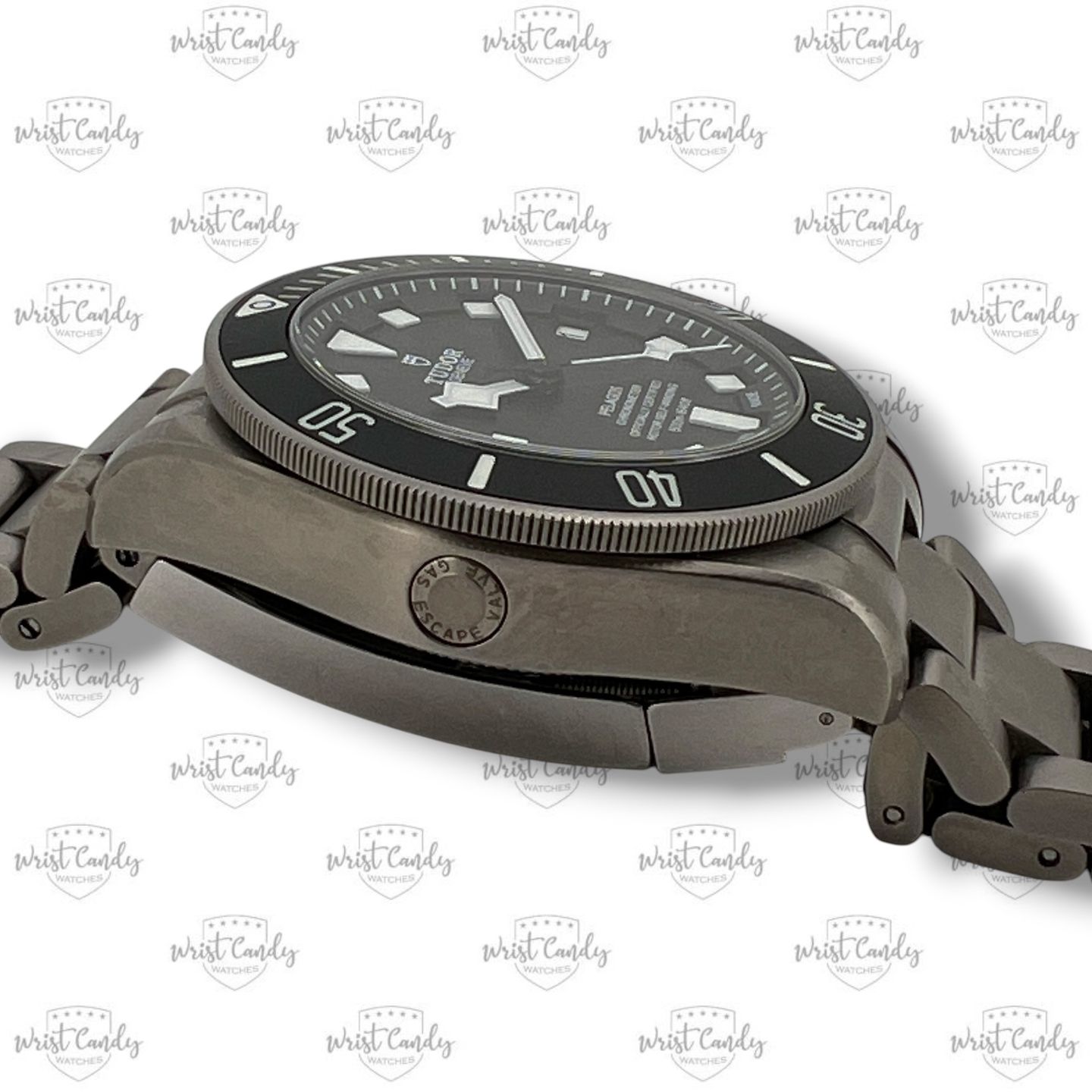 Tudor Pelagos 25600TN - (7/8)