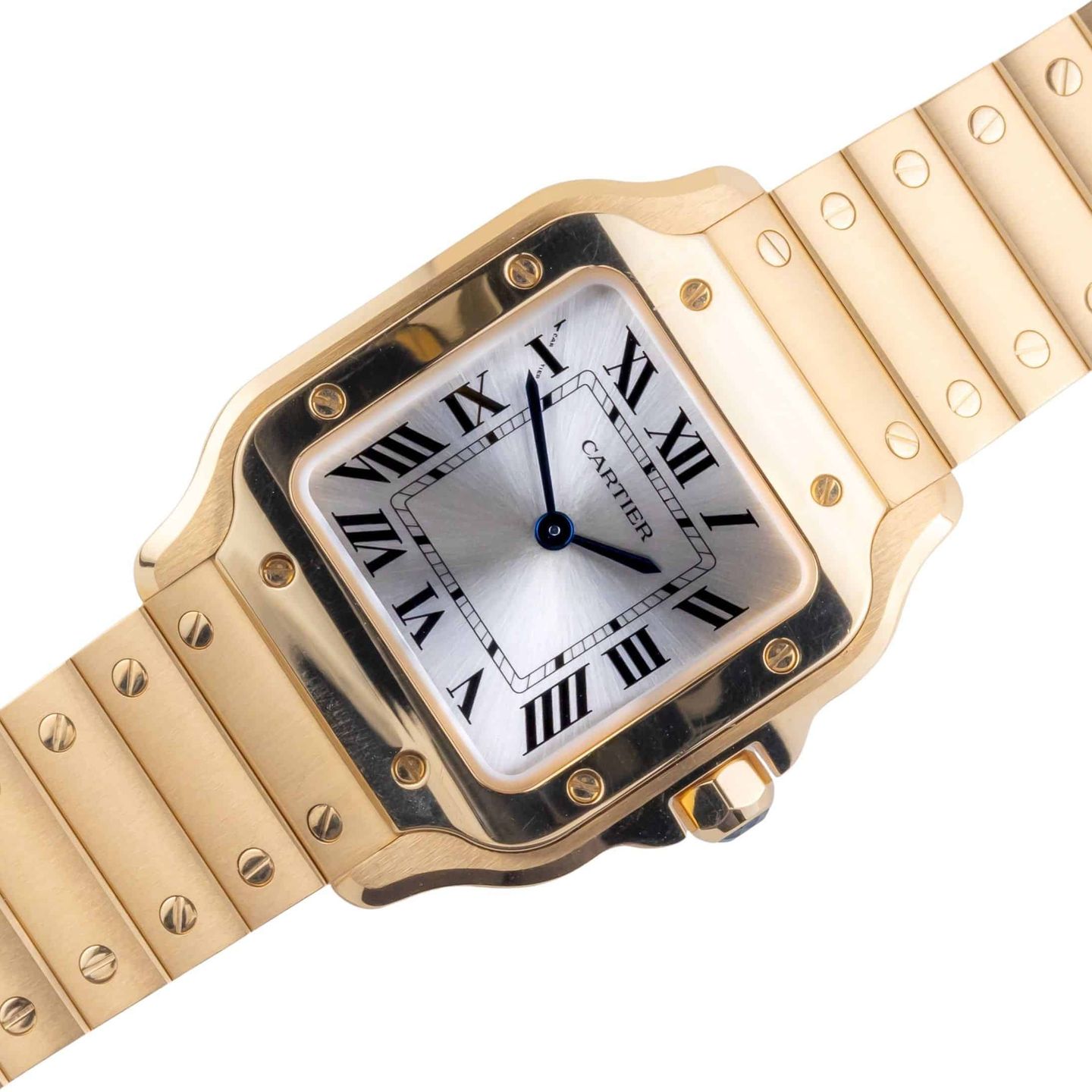 Cartier Santos WSSA0029 - (1/8)