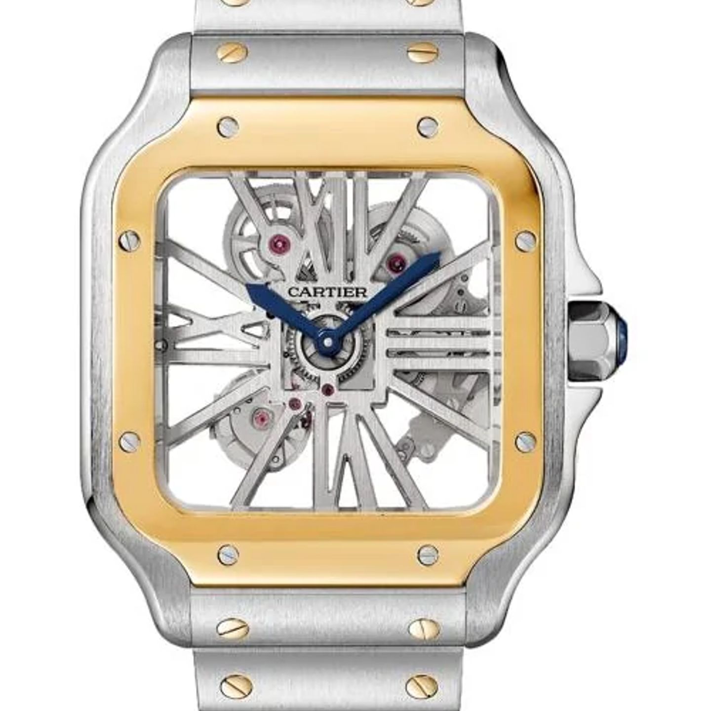 Cartier Santos WHSA0019 - (1/1)