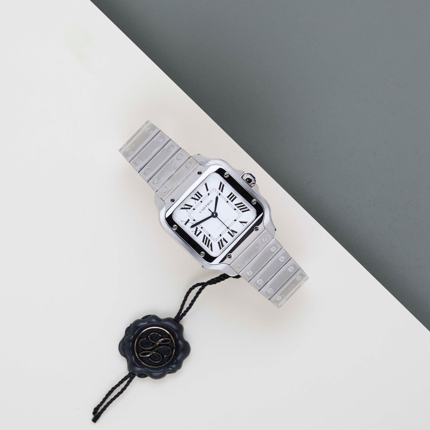 Cartier Santos WSSA0029 (2026) - Silver dial 35 mm Steel case (2/8)