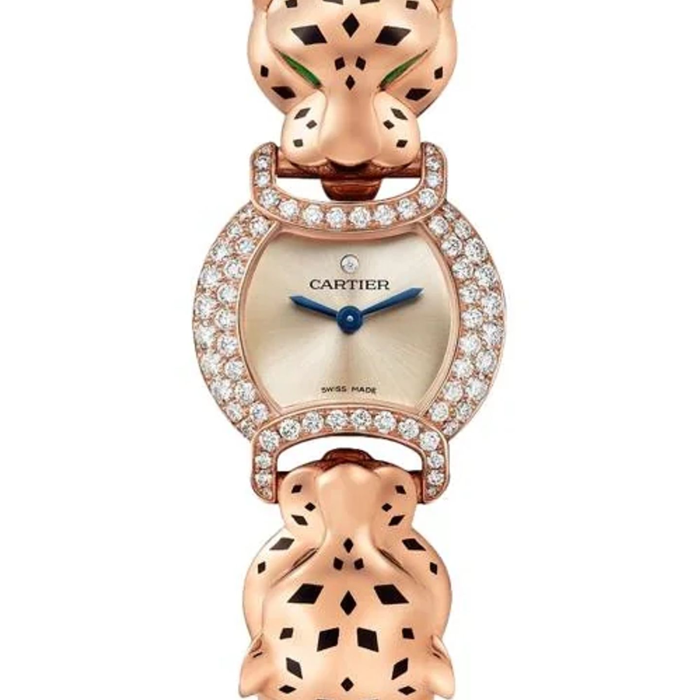 Unknown Unknown HPI01732 (2026) - (1/1)