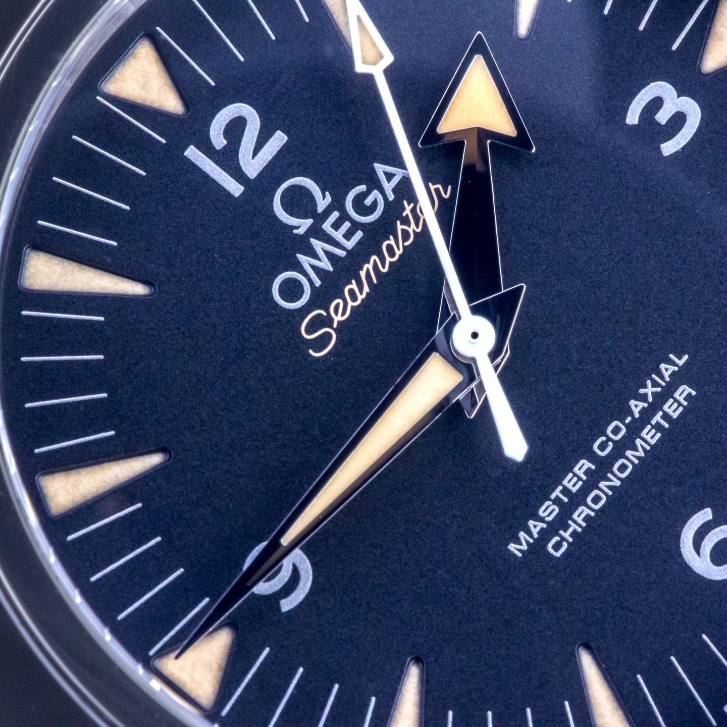 Omega Seamaster 300 233.30.41.21.01.001 - (2/8)