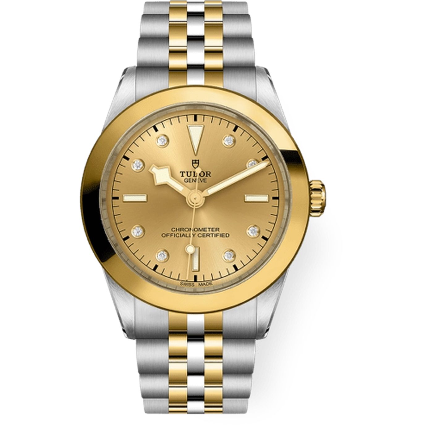 Tudor Black Bay S&G 79663 - (1/1)