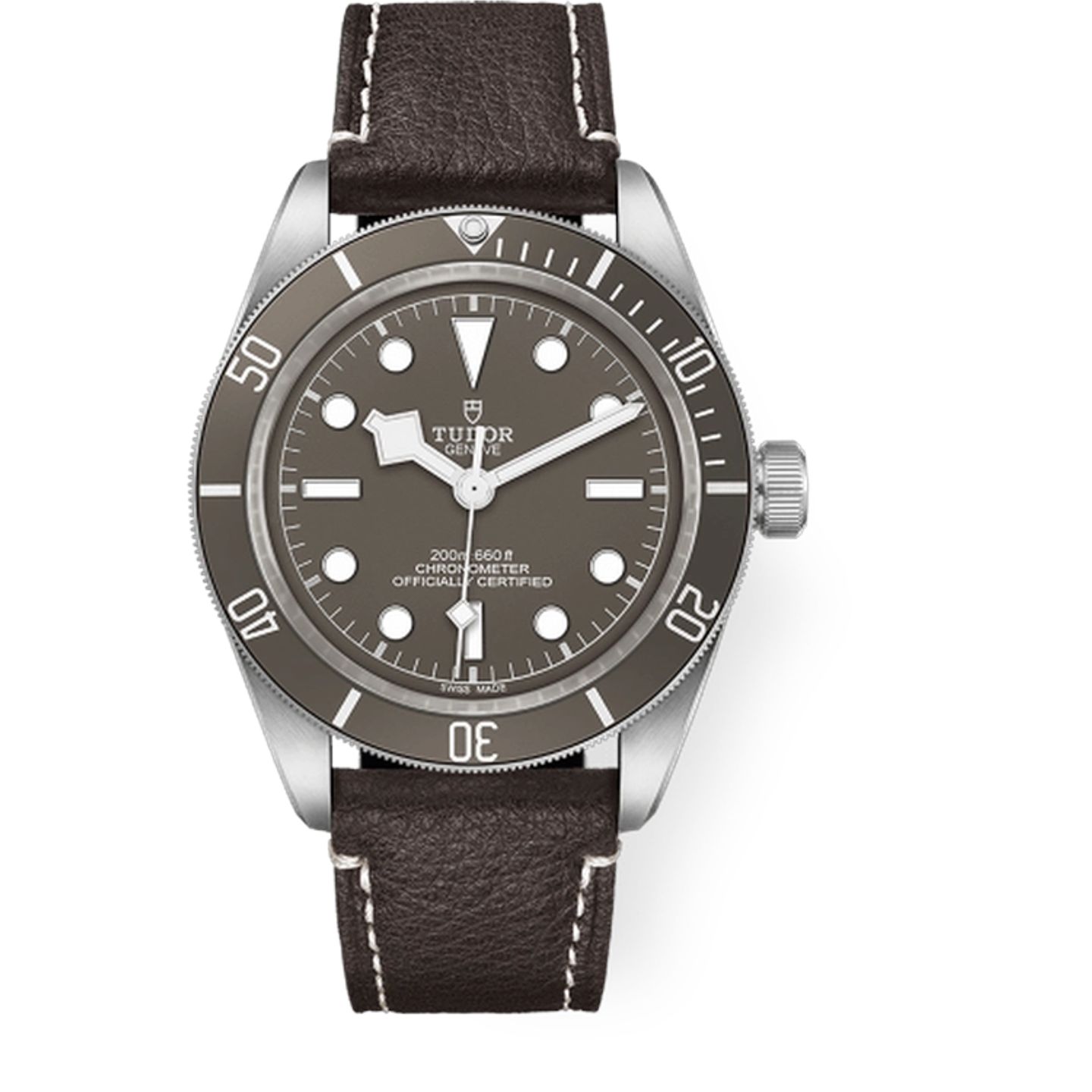 Tudor Black Bay Fifty-Eight 79010SG (2026) - Grey dial 39 mm Silver case (1/1)