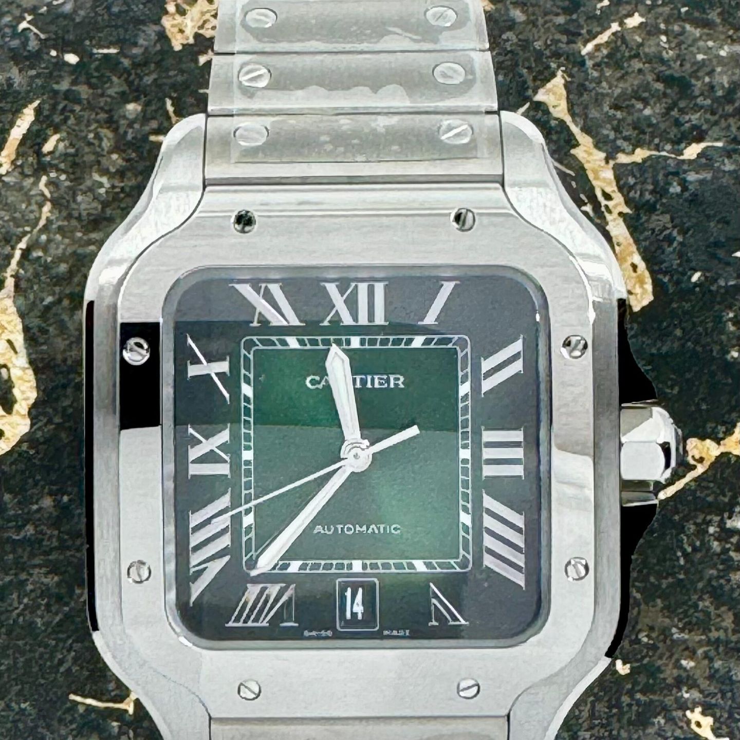 Cartier Santos WSSA0062 - (2/8)