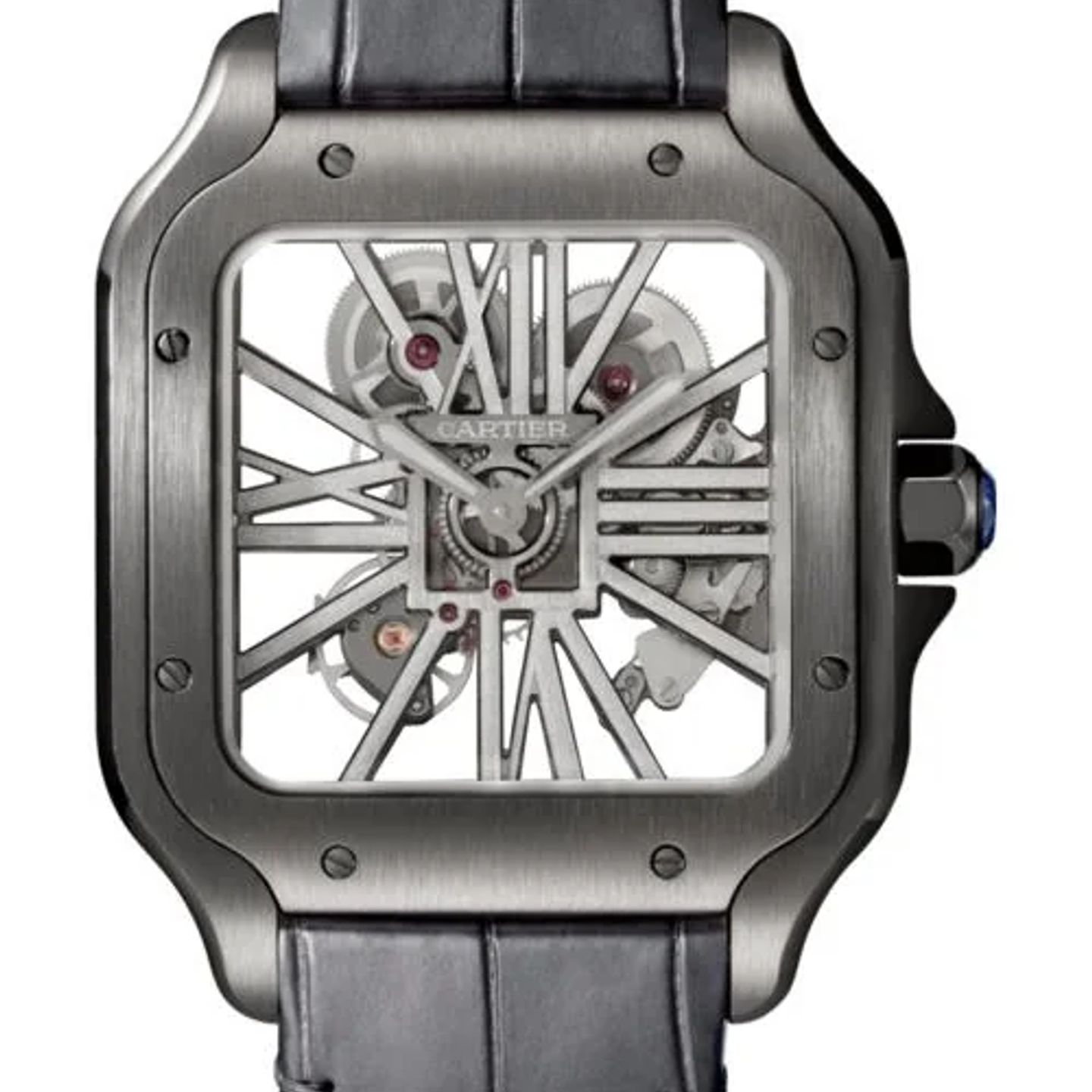 Cartier Santos WHSA0009 - (1/1)