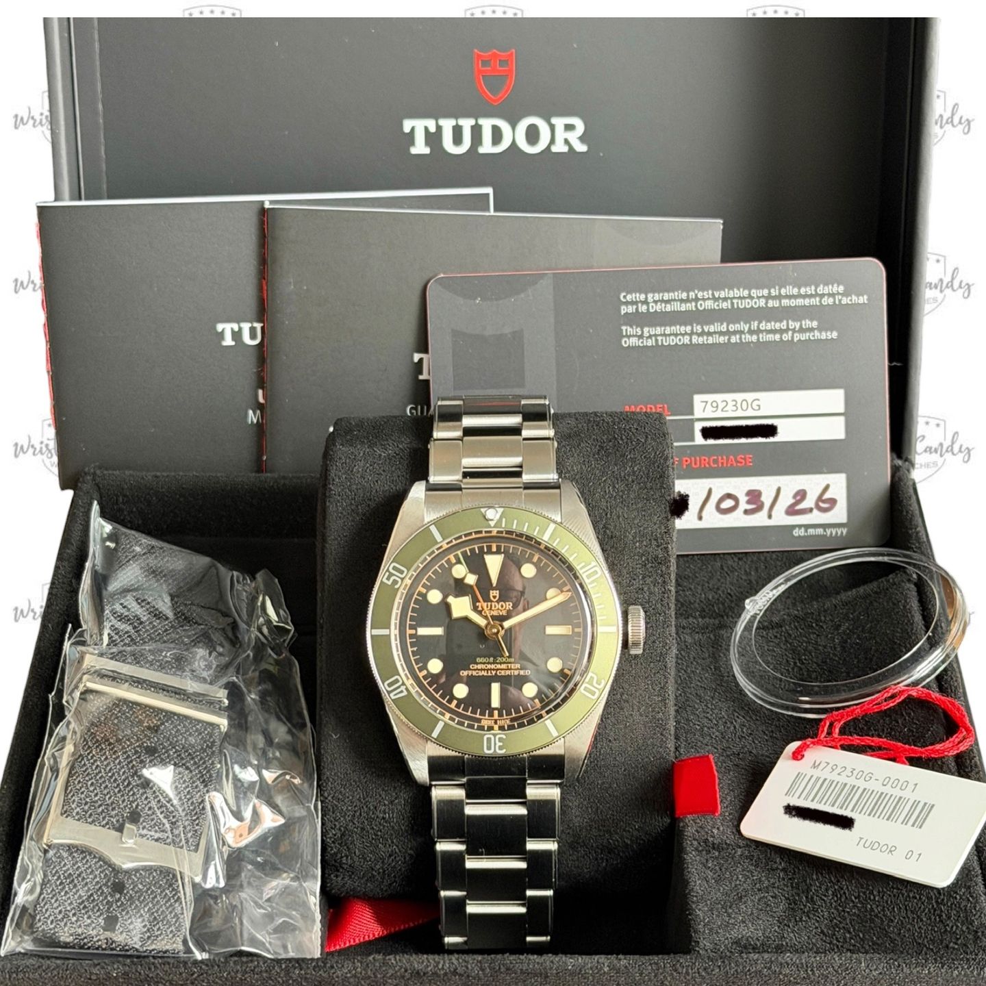 Tudor Black Bay 79230G - (8/8)