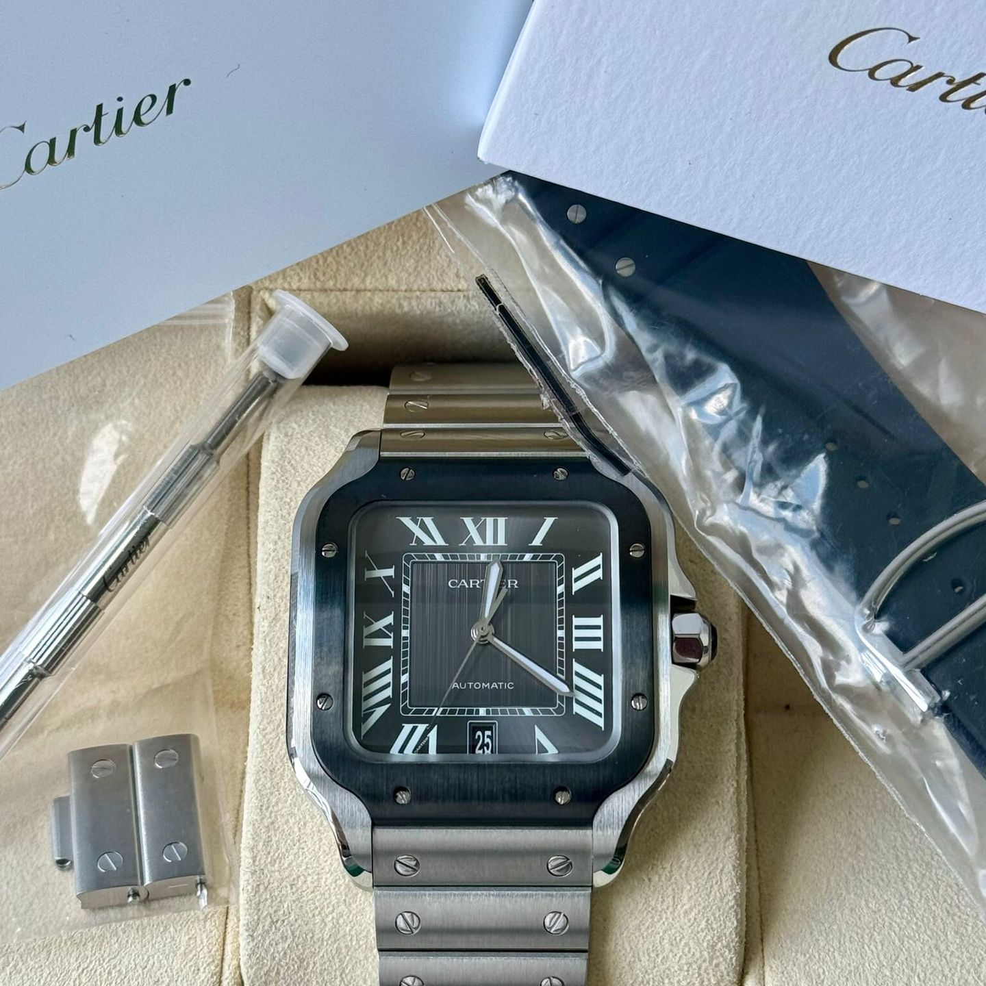 Cartier Santos WSSA0037 - (7/7)