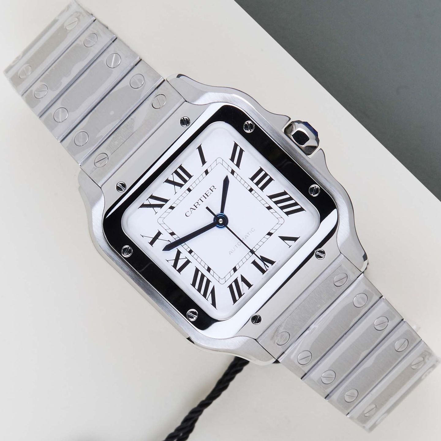Cartier Santos WSSA0029 - (1/8)