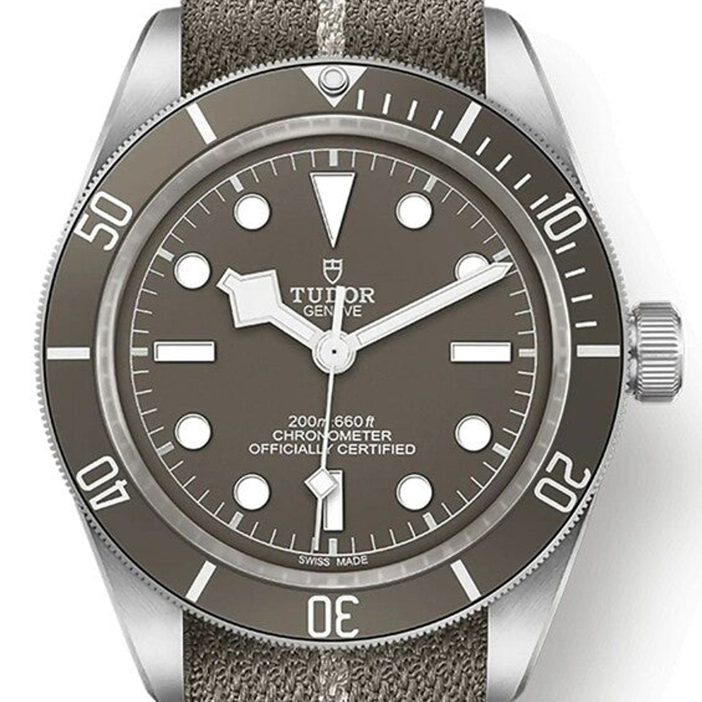 Tudor Black Bay Fifty-Eight 79010SG (2026) - Grey dial 39 mm Silver case (1/1)