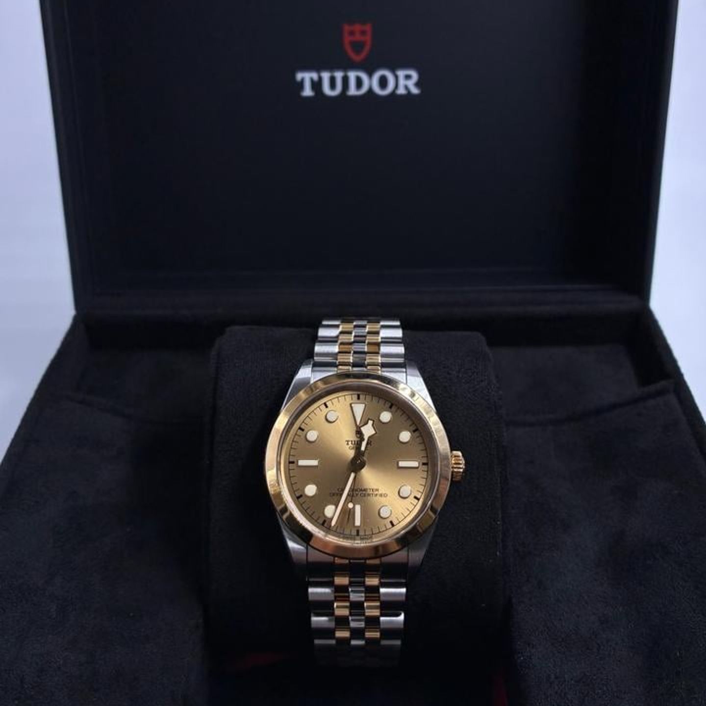 Tudor Black Bay 79643 - (2/10)