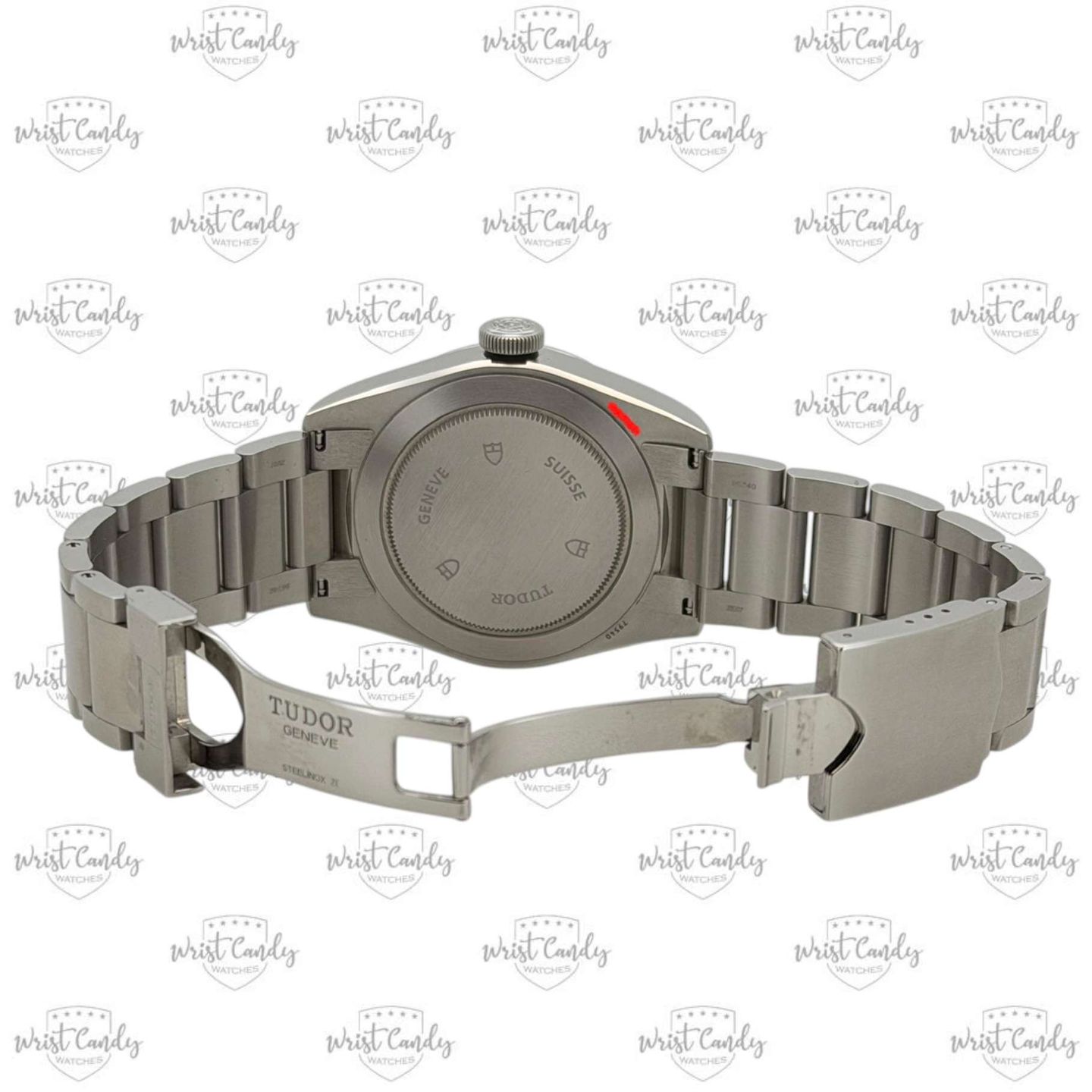 Tudor Black Bay 41 79540 - (7/8)