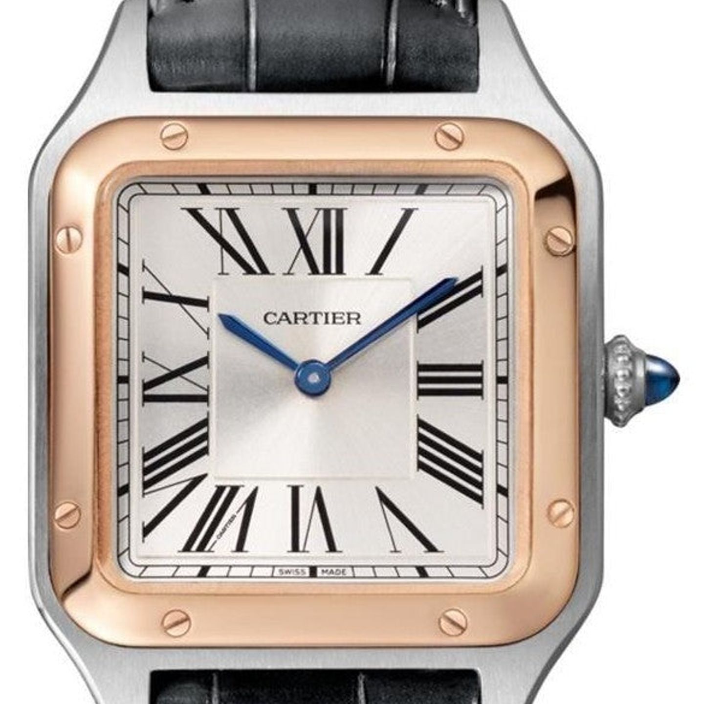 Cartier Santos Dumont W2SA0012 - (1/1)