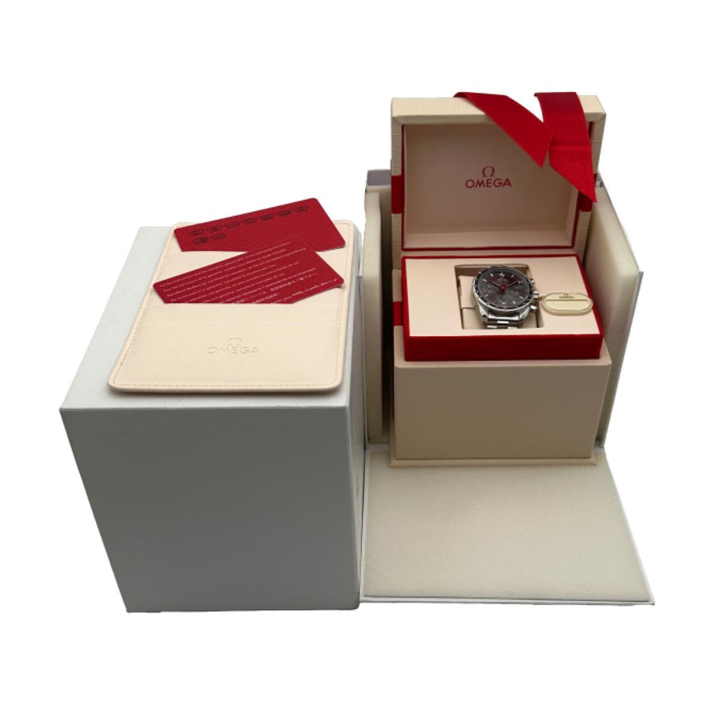 Omega Speedmaster 324.30.38.50.06.001 (2018) - Grey dial 38 mm Steel case (5/5)