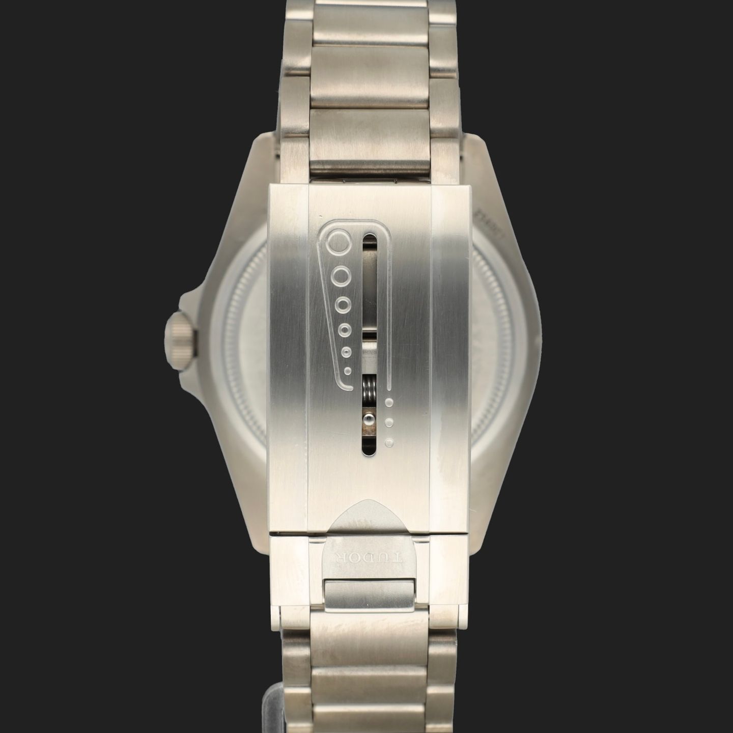 Tudor Pelagos 25600TN - (6/8)