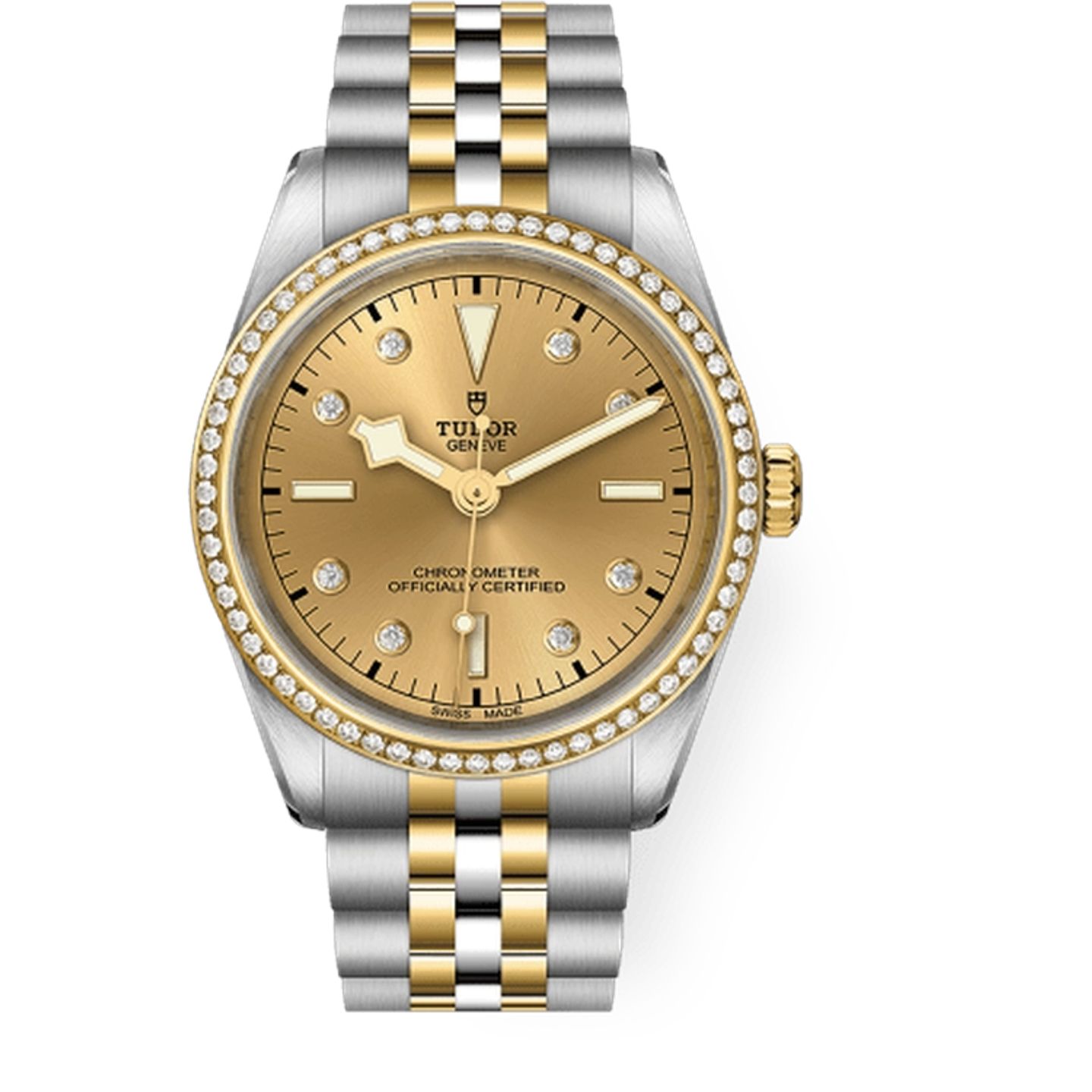 Tudor Black Bay S&G 79653 - (1/1)