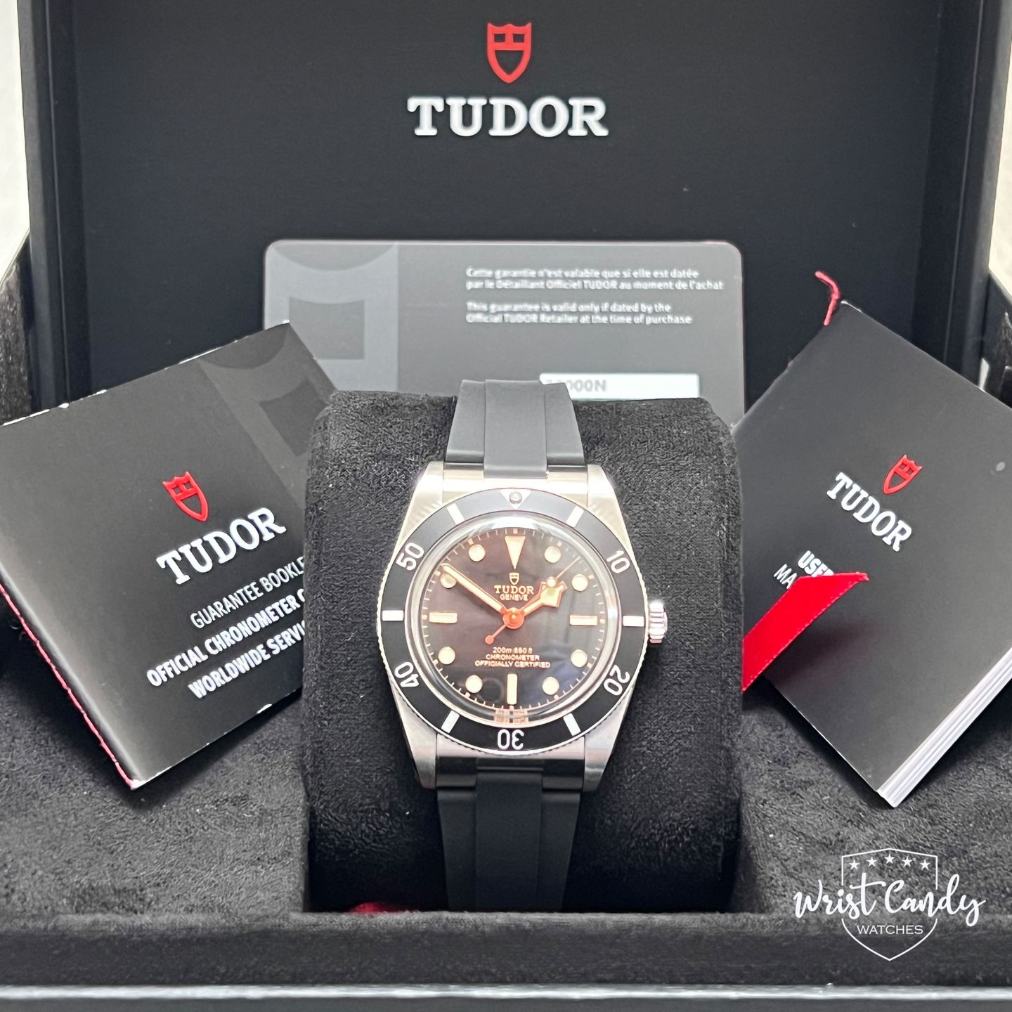 Tudor Black Bay 54 79000N - (8/8)