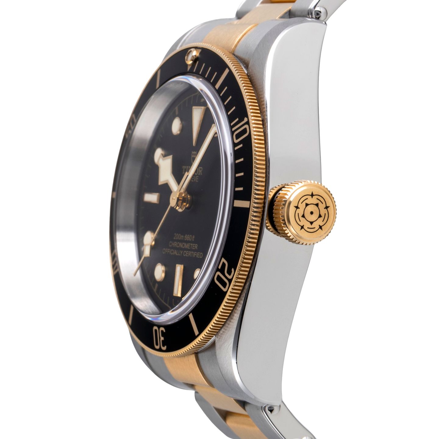 Tudor Black Bay S&G 79733N - (6/8)