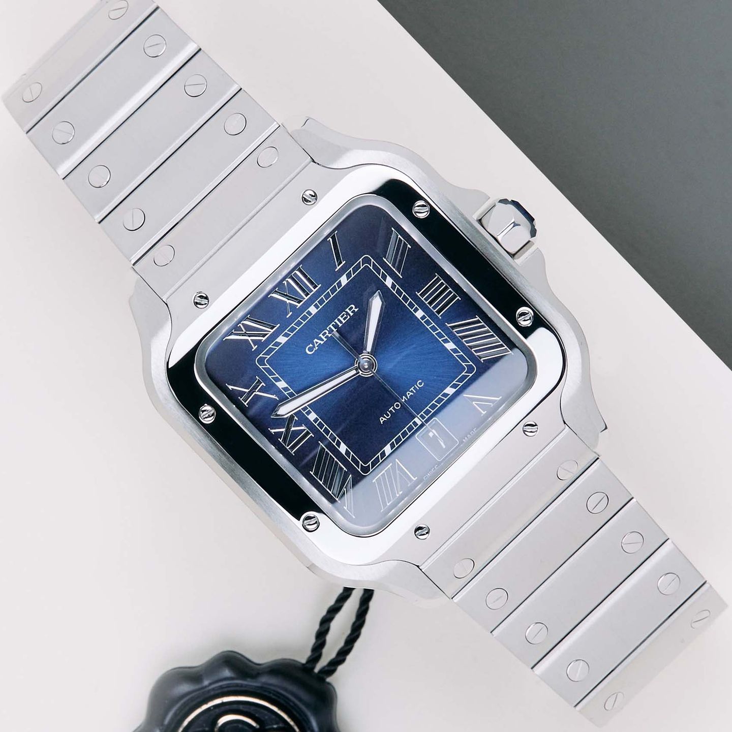 Cartier Santos WSSA0071 - (1/8)