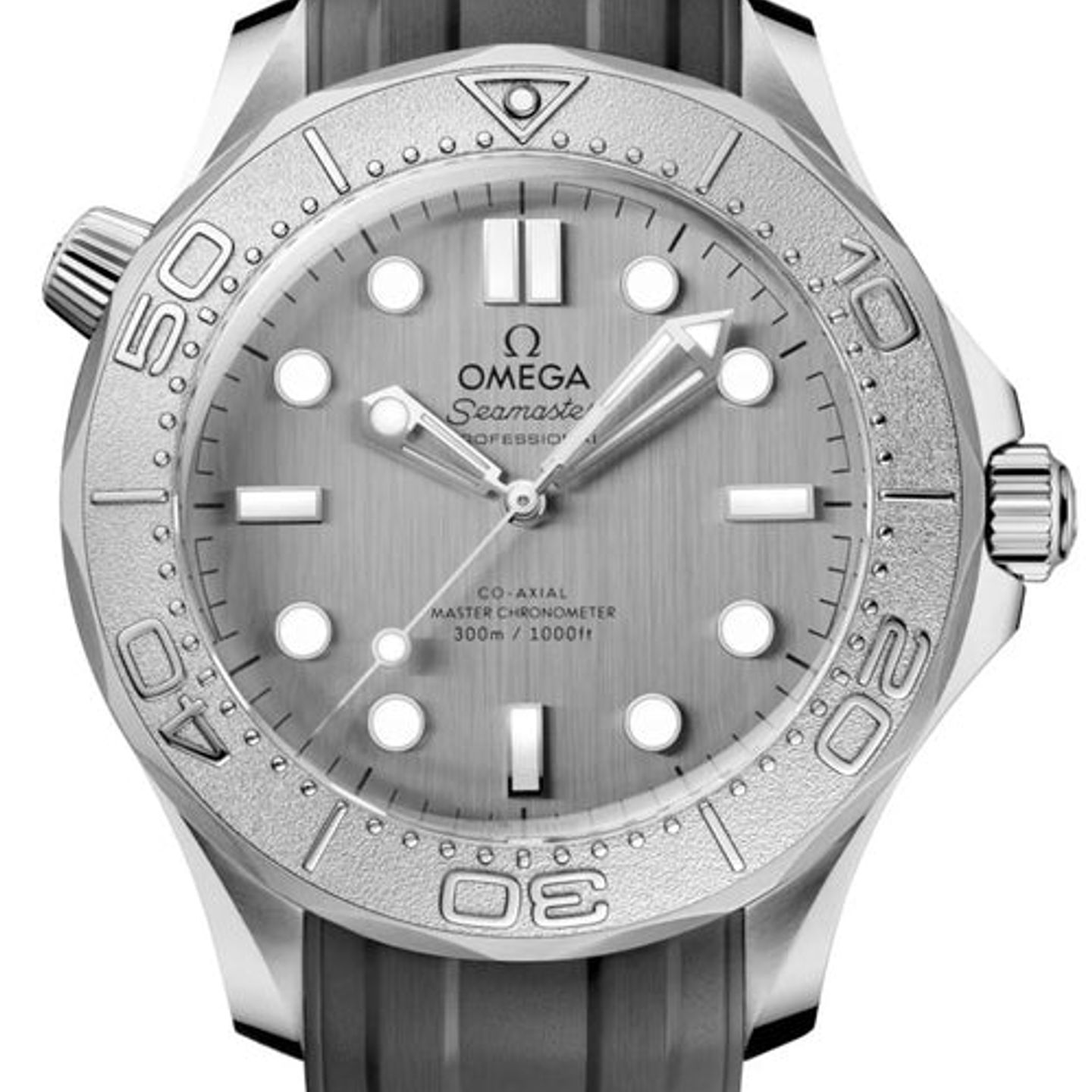 Omega Seamaster Diver 300 M 210.32.42.20.06.002 (2026) - Grey dial 42 mm Steel case (1/1)