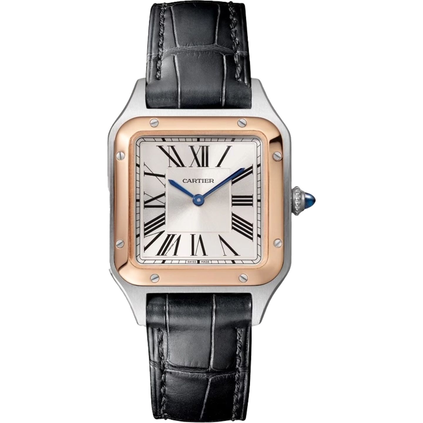 Cartier Santos Dumont W2SA0038 (2025) - Silver dial 28 mm Steel case (1/1)