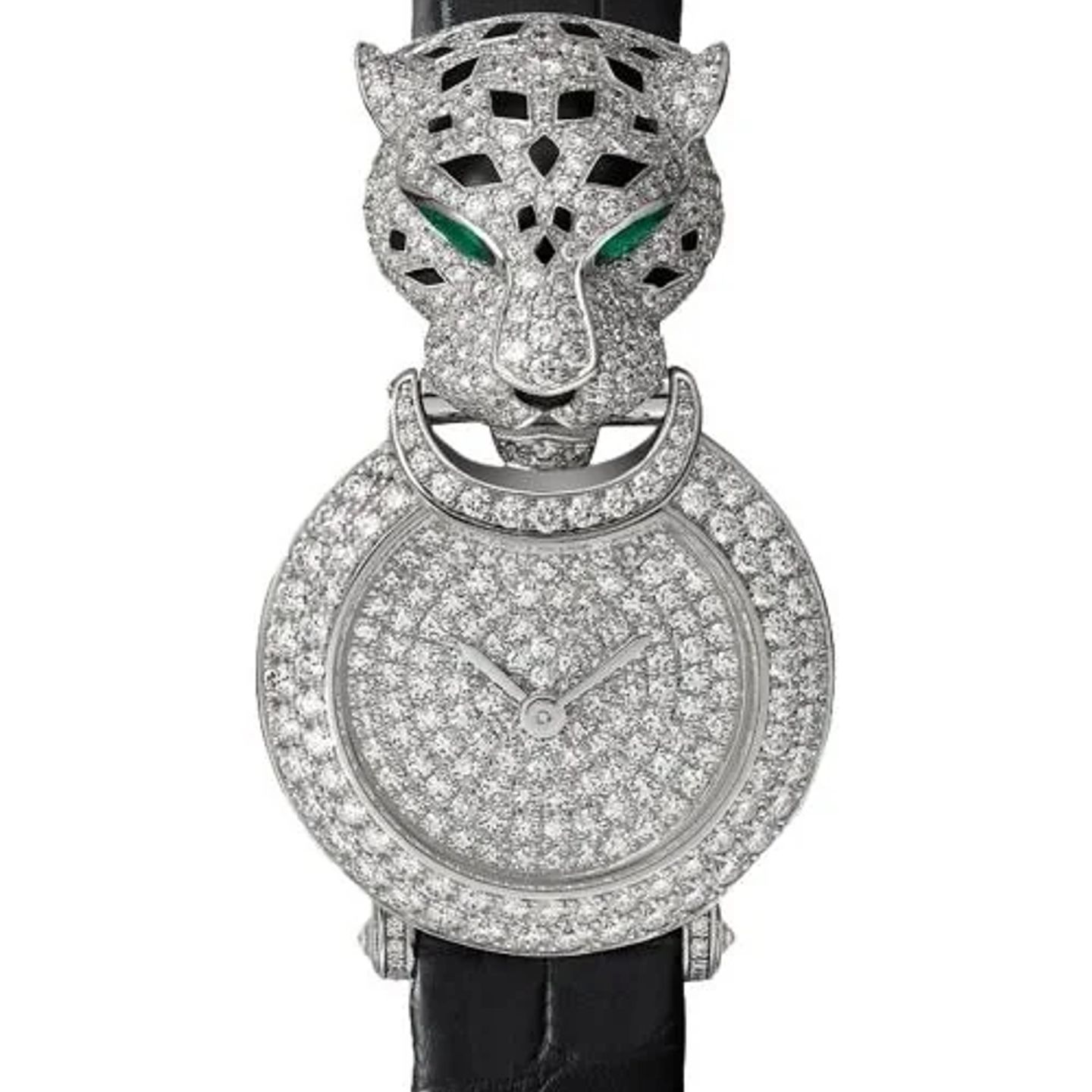 Unknown Unknown HPI01734 (2026) - (1/1)