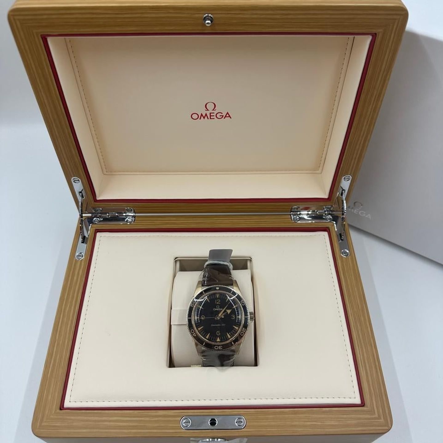 Omega Seamaster 300 234.92.41.21.10.001 - (2/10)