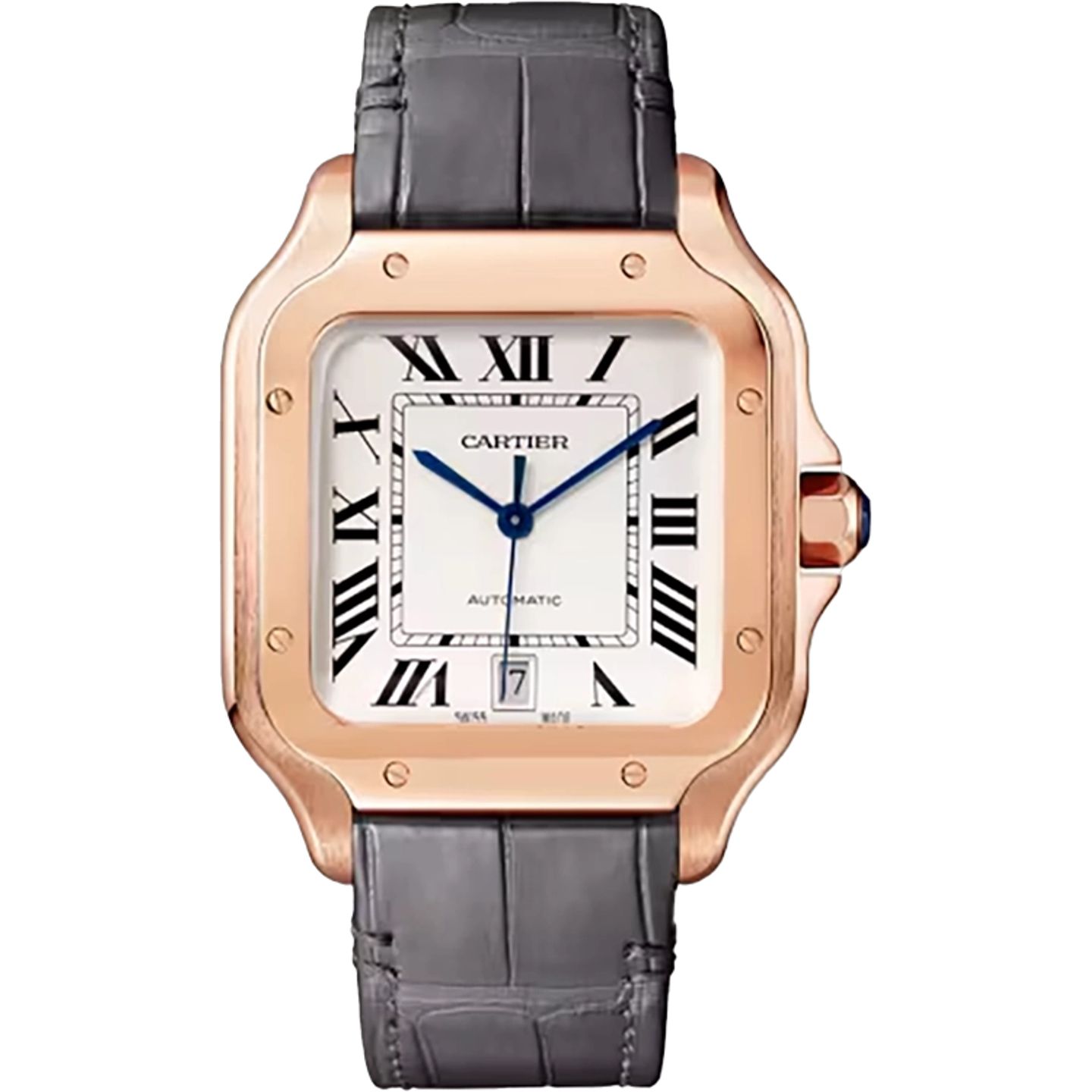 Cartier Santos WGSA0019 - (1/1)