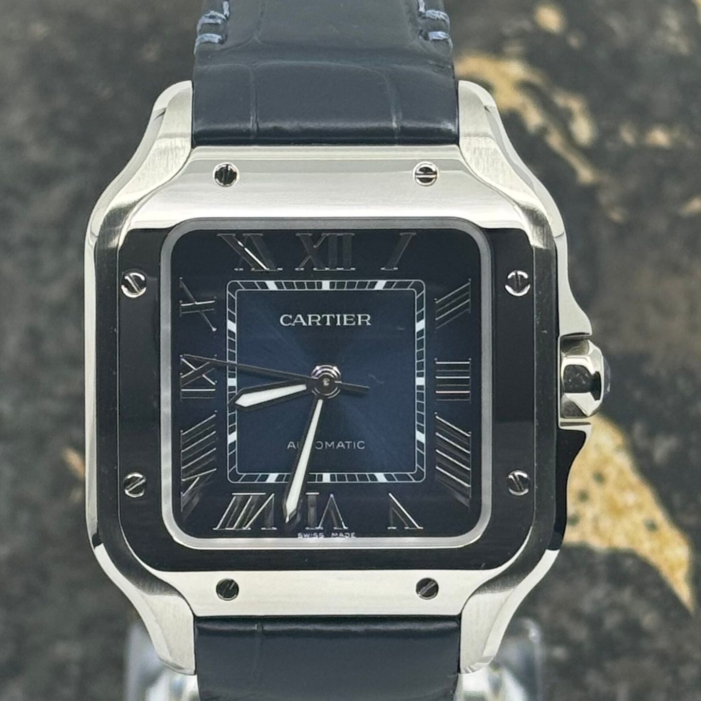 Cartier Santos WSSA0063 - (3/8)