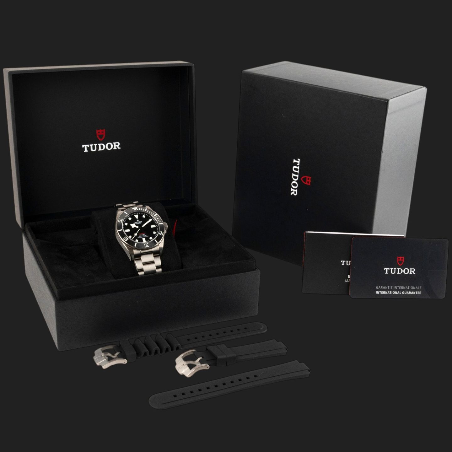 Tudor Pelagos 25407N (2026) - 39mm Titanium (8/8)