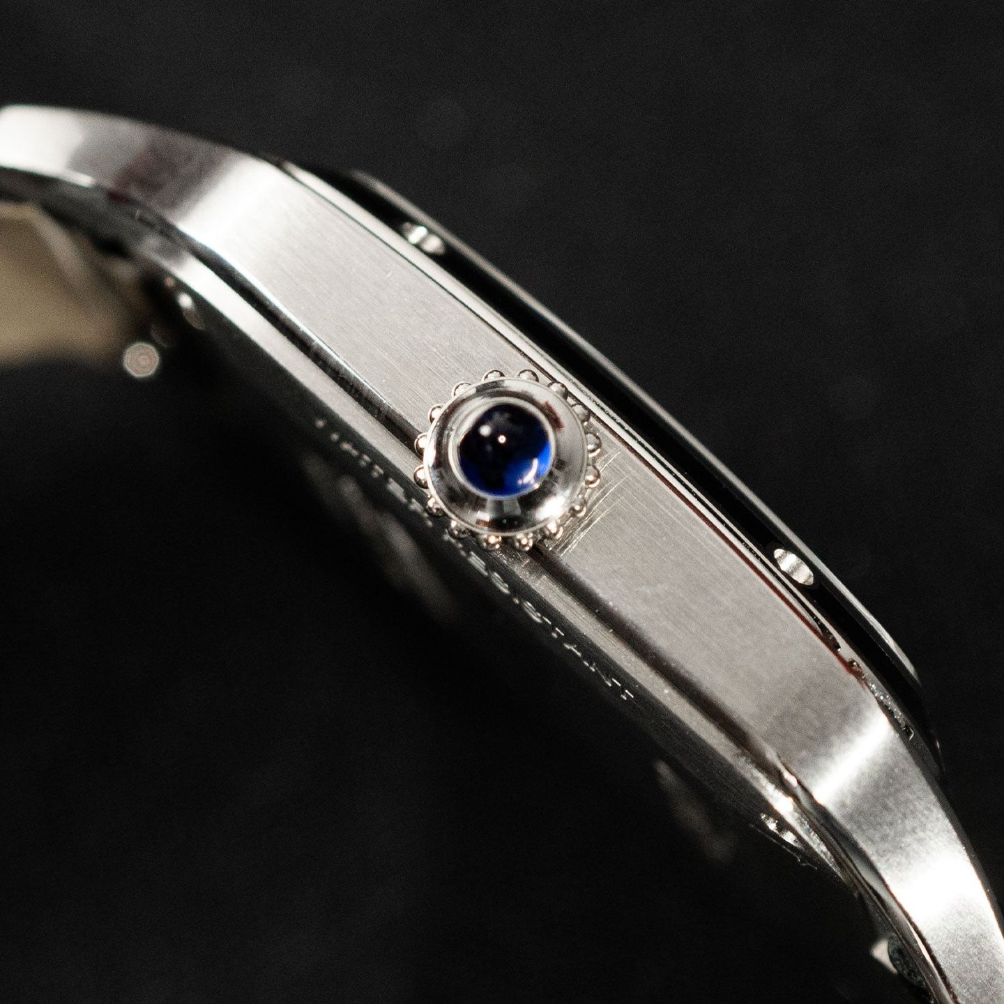 Cartier Santos Dumont WSSA0046 - (4/6)