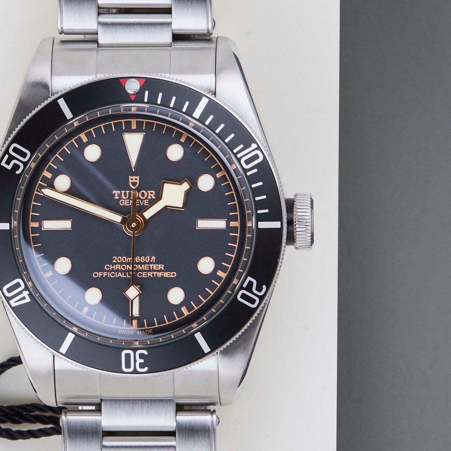 Tudor Black Bay 79230N - (5/8)