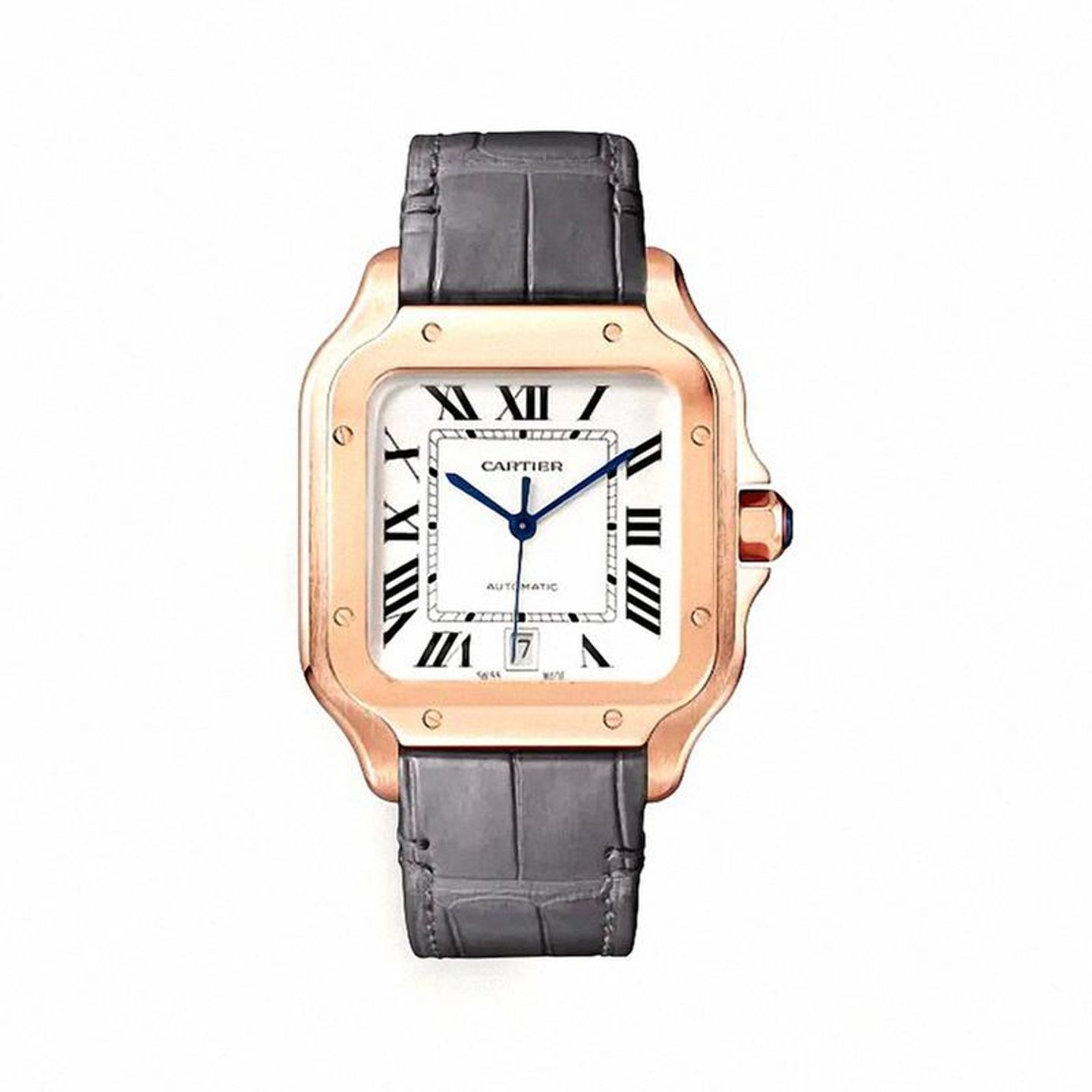 Cartier Santos WGSA0019 - (5/5)