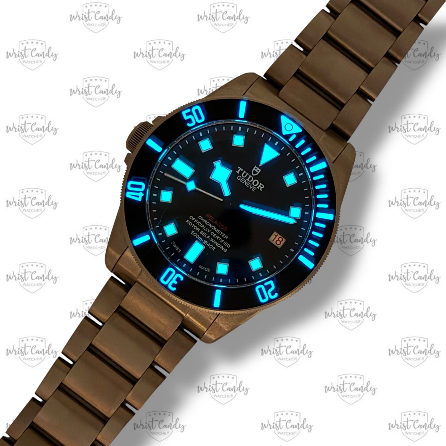 Tudor Pelagos 25610TNL - (6/8)