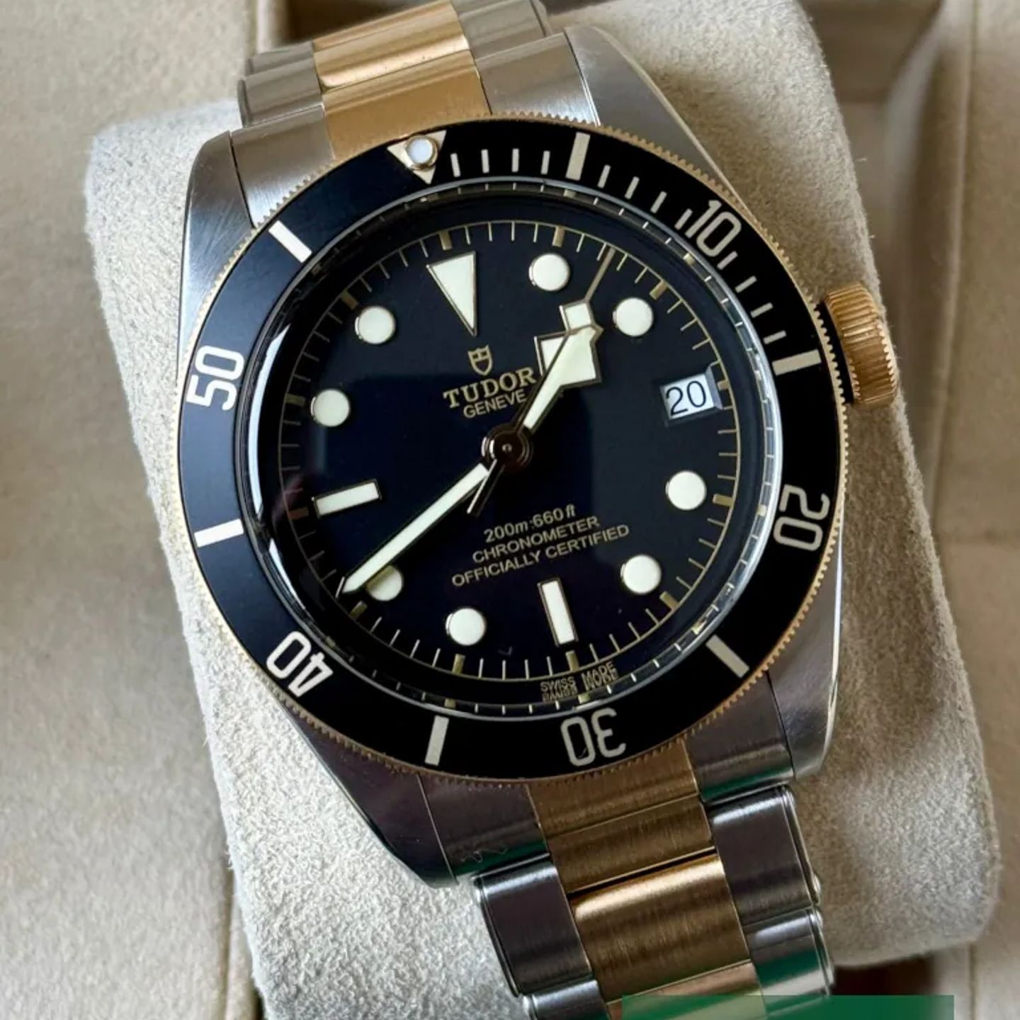 Tudor Black Bay S&G 79733N - (1/7)