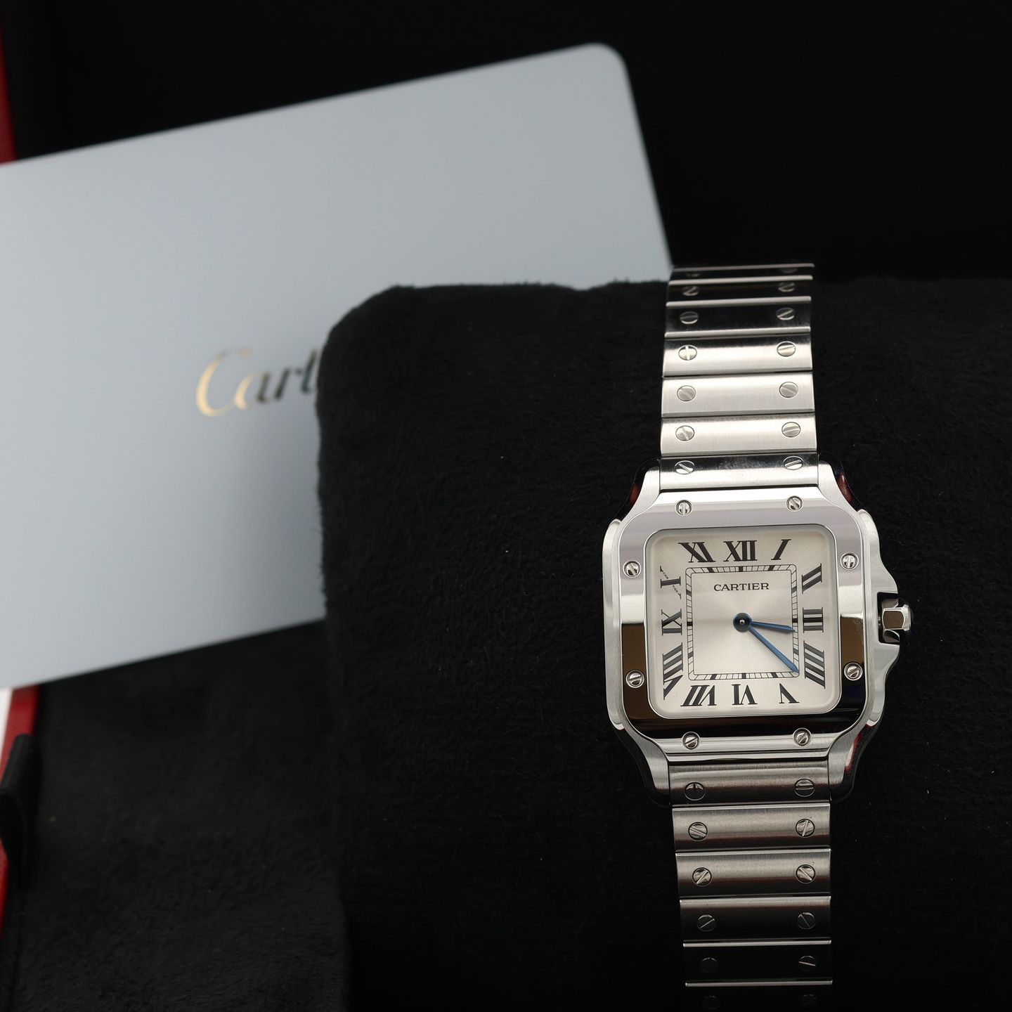 Cartier Santos WSSA0030 - (3/8)
